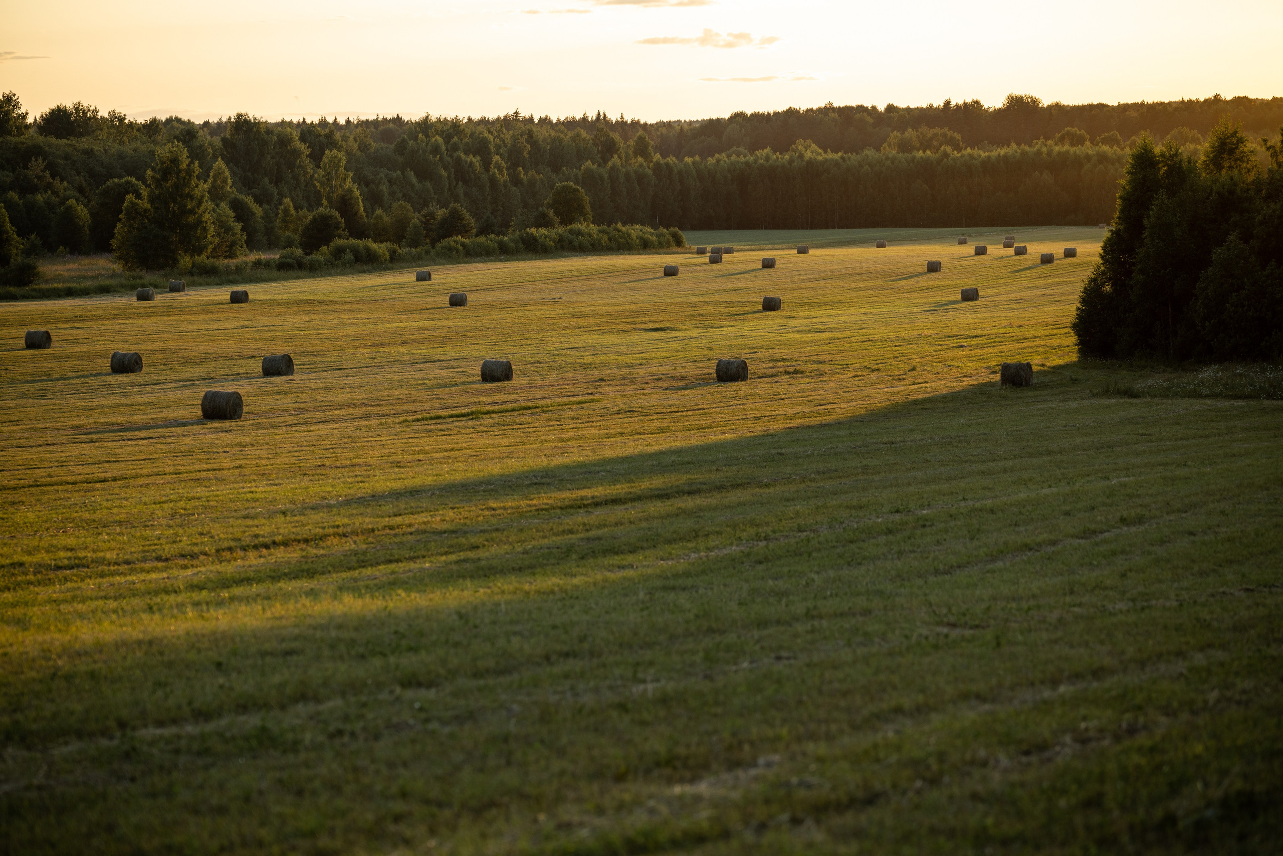 Природные пейзажи. Наталия Клевинскас портретный фотограф в Костроме