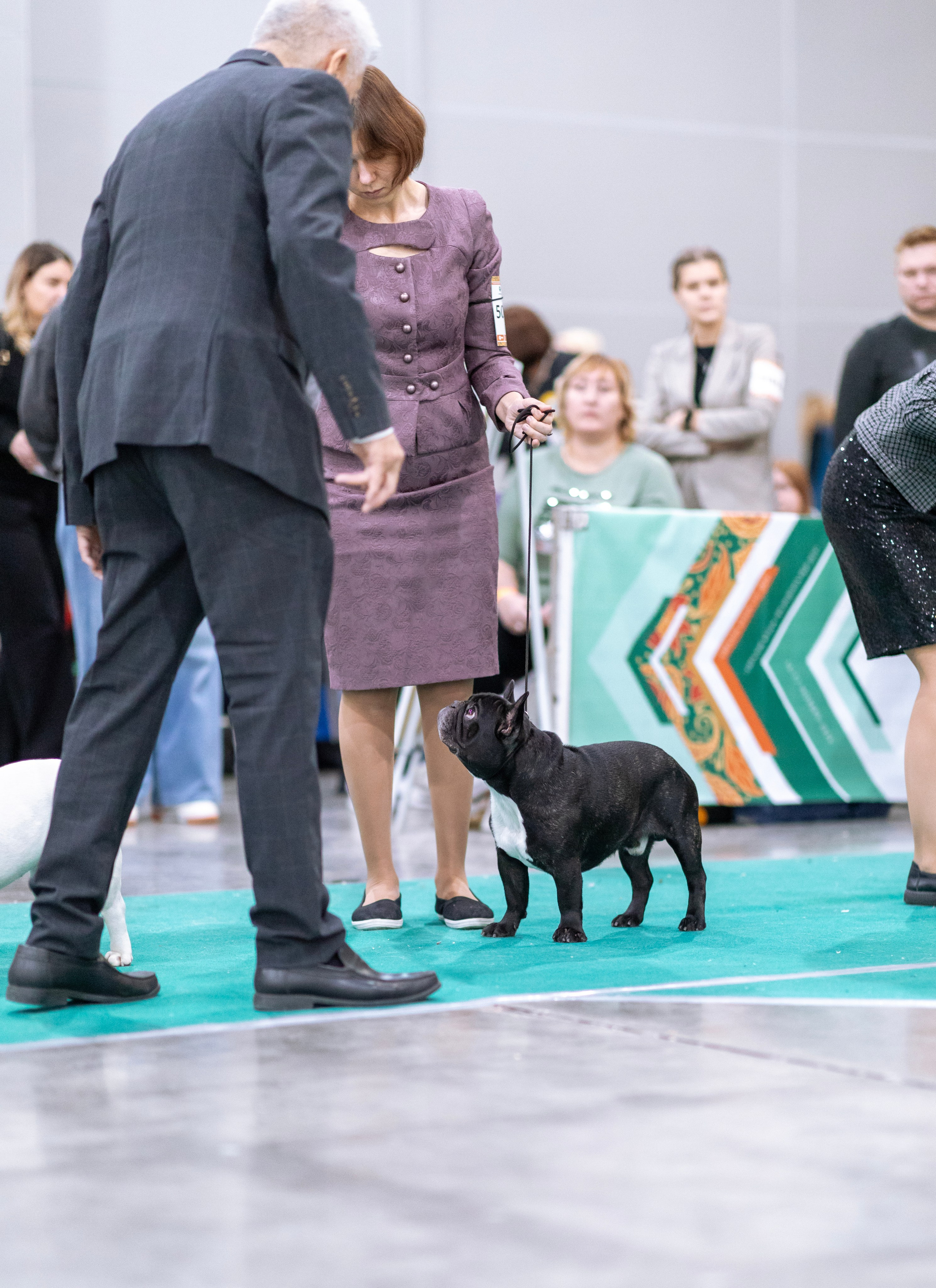 Евразия. Фотограф — анималист Татьяна Ли