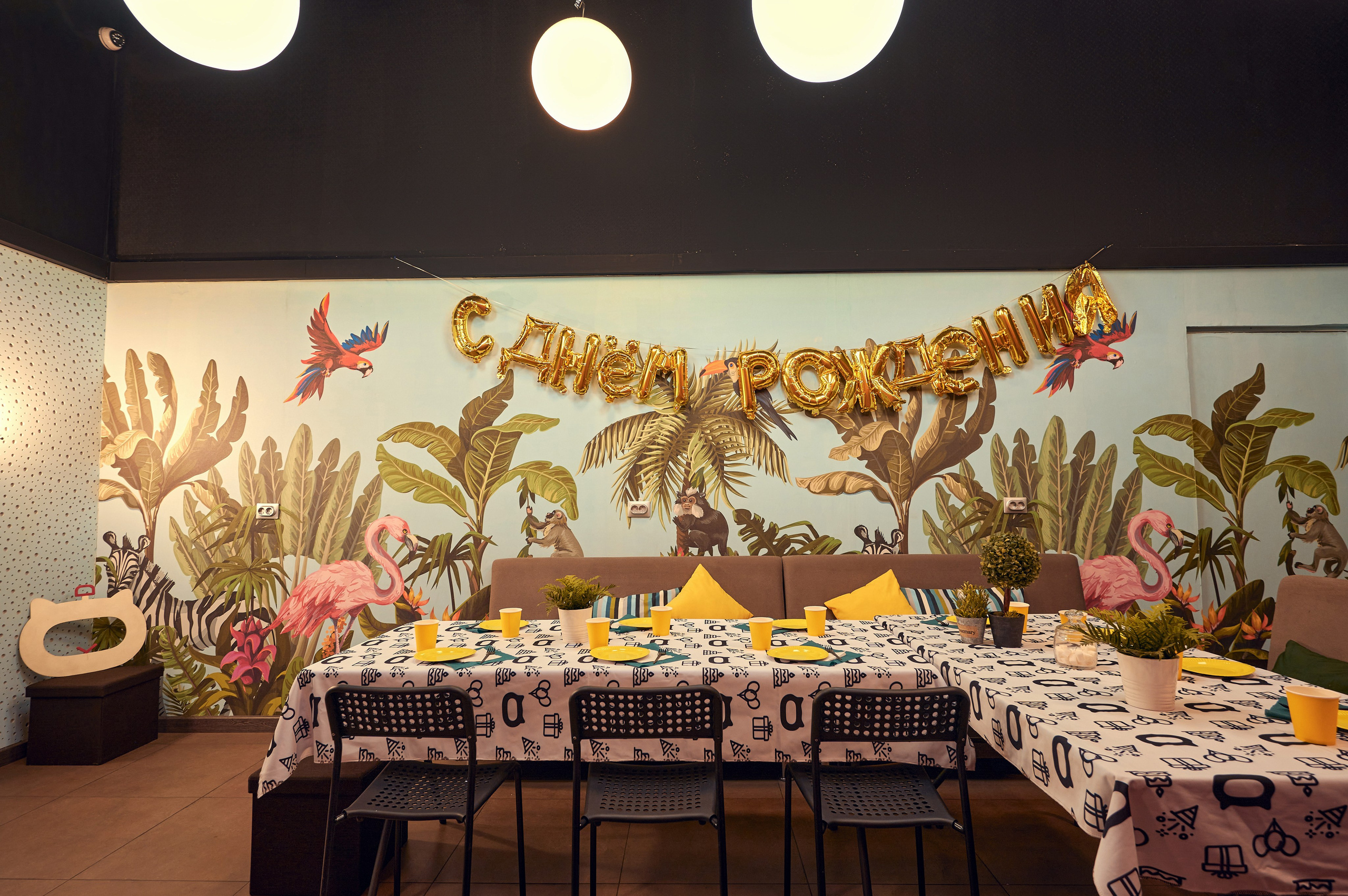 Чеширский Коd — 5 локаций. Фотограф Яковлев Роман — Красноярск