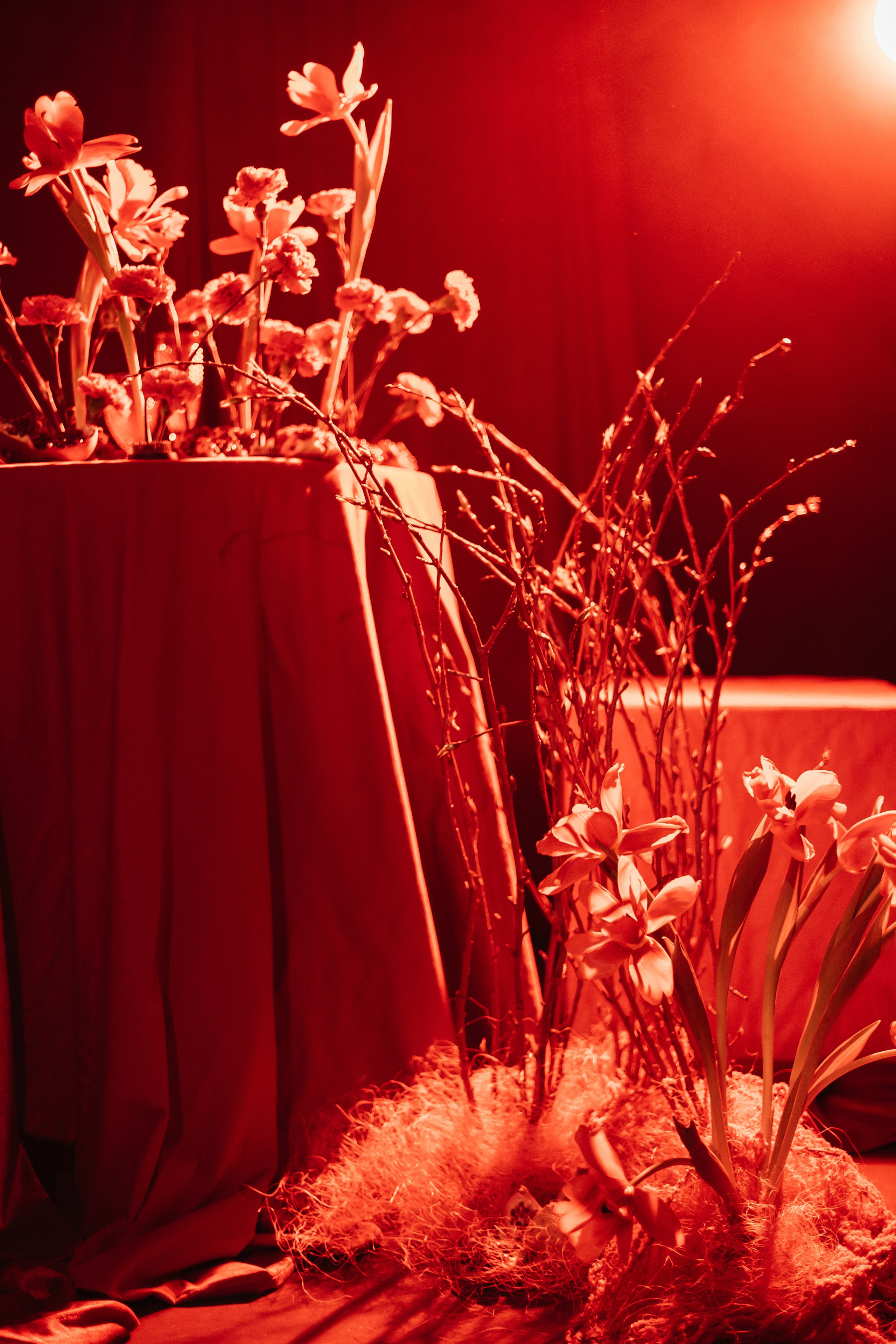 RED Pion. Фотограф свадебный семейный в Красноярске Шукшина Наталья