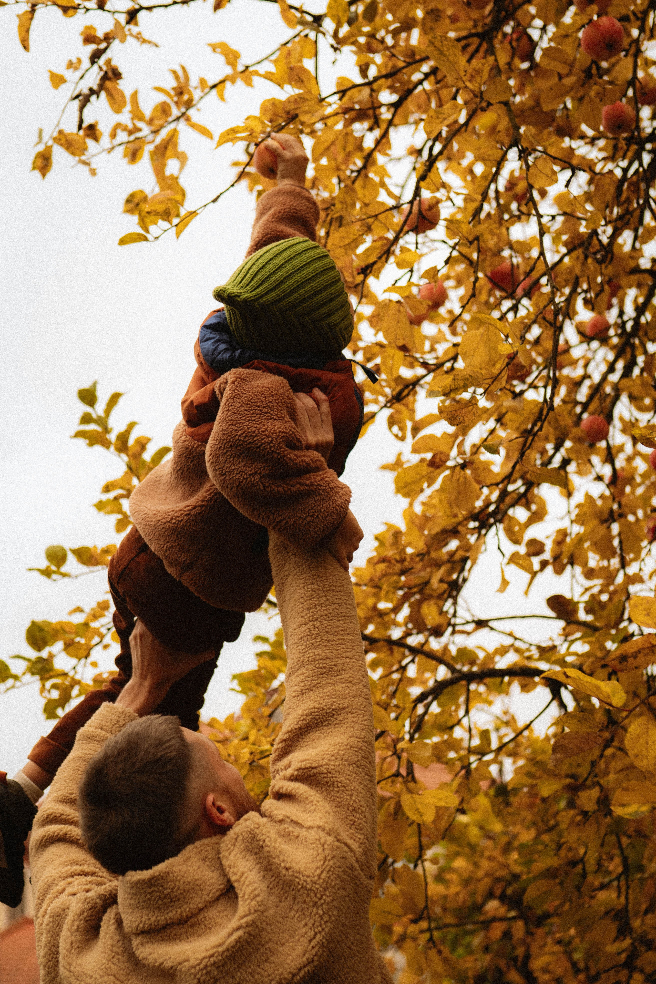 Карина, Миша, Оливер. Семейный фотограф Юлия Котова
