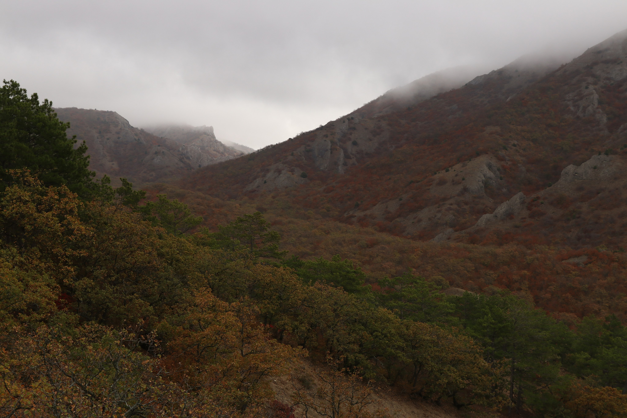 Крым. ЮБК (Гурзуф, Судак и их окрестности). Ноябрь 2023. Путешественник-фотограф из Санкт-Петербурга Татьяна Свистулина