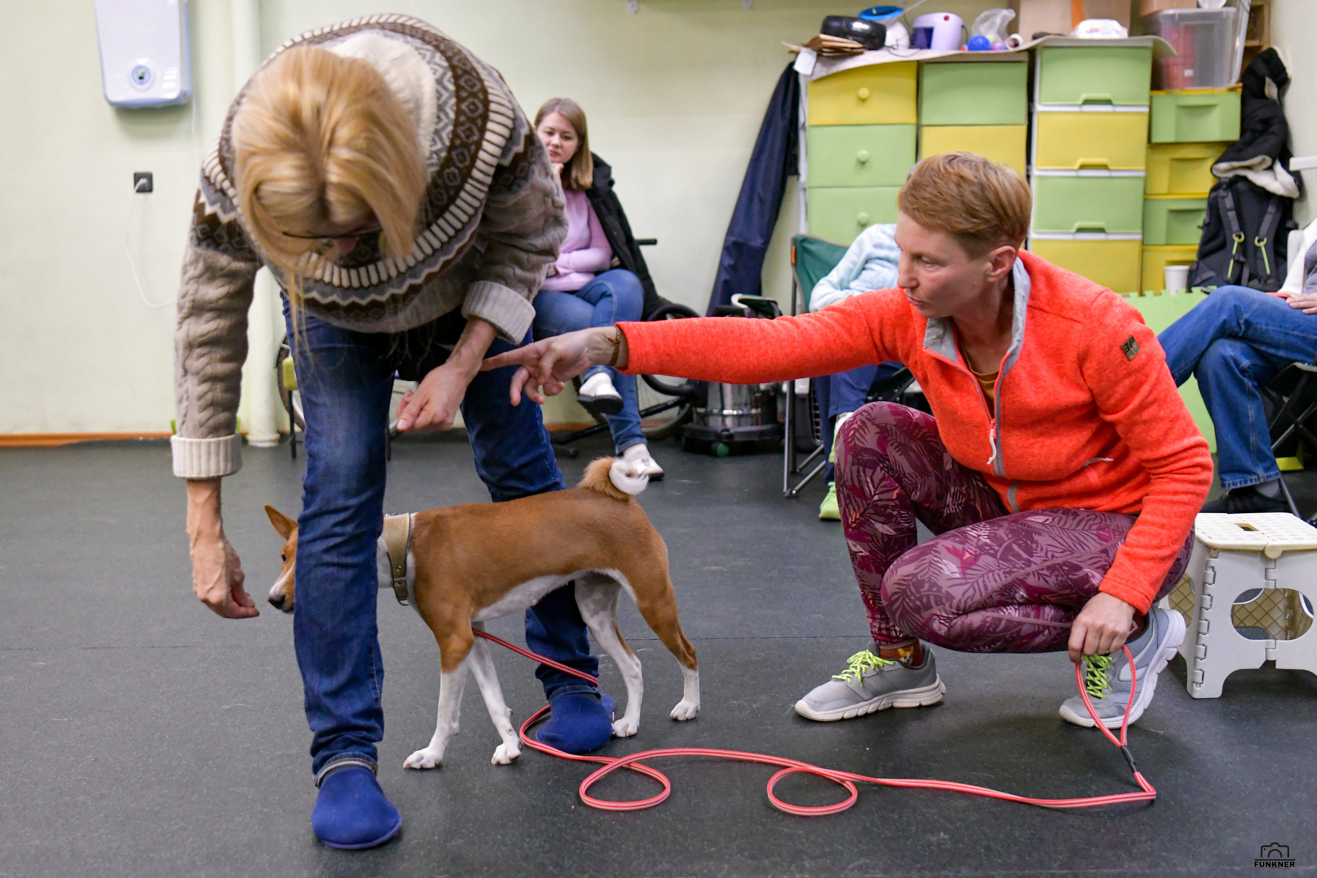 Кинологический клуб «Бодрый хвост». Свой взгляд через объектив