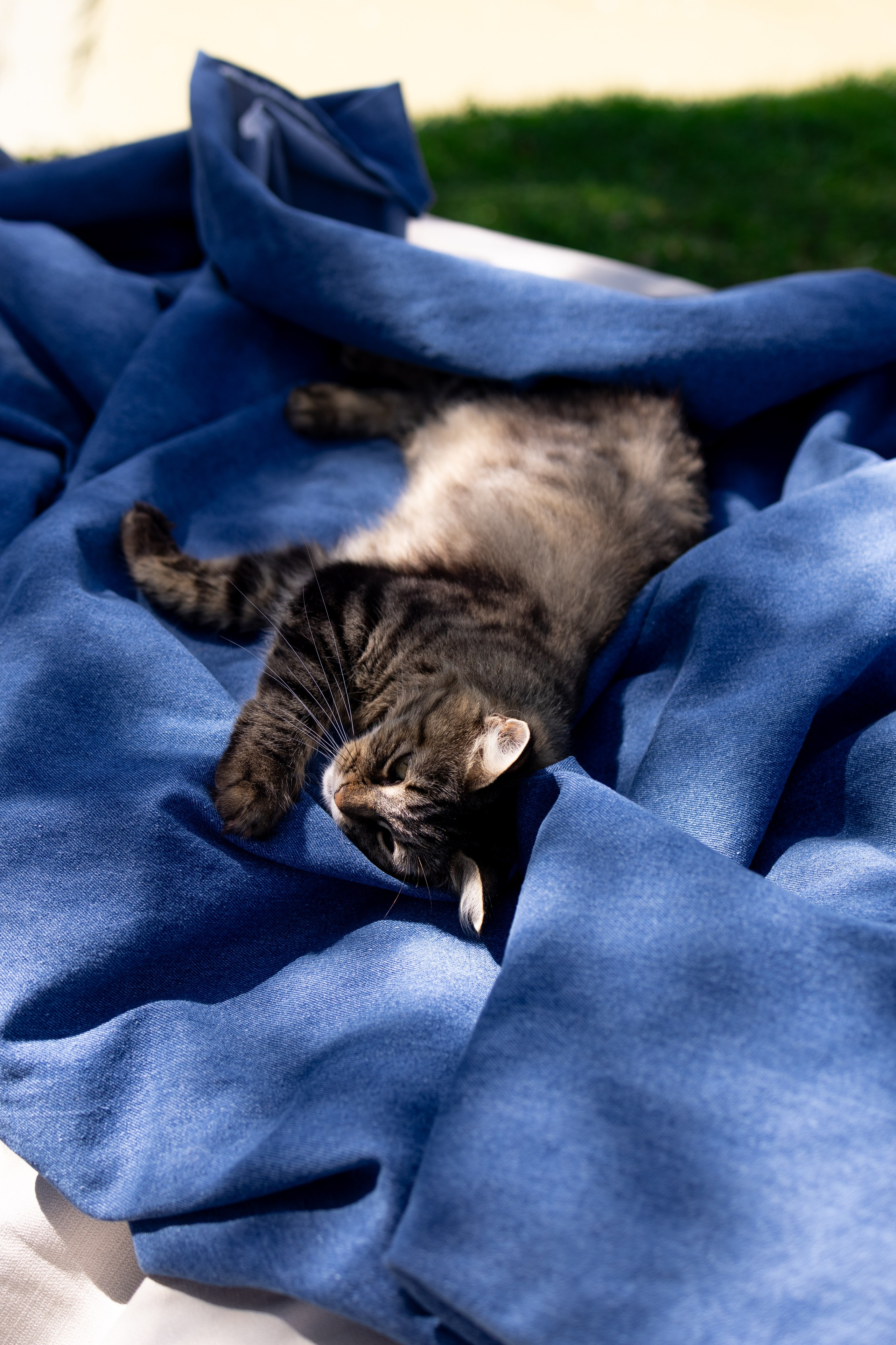 Сшиты на века. Свадебный фотограф. Краснодар, Сочи, Новороссийск. Вадим Мерье