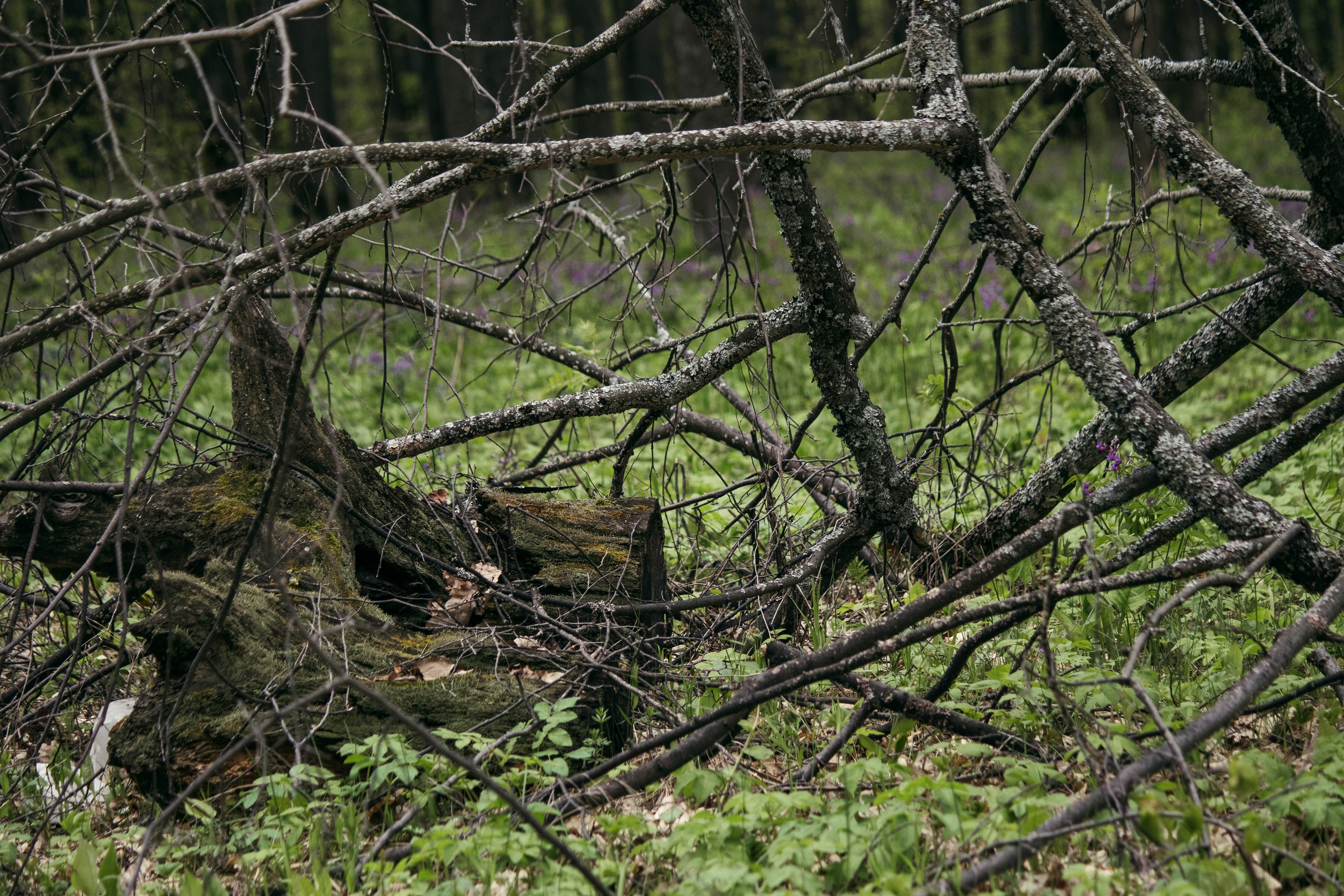 Сокольская гора. Фотограф и видеограф в Бугульме Аня Трутнева