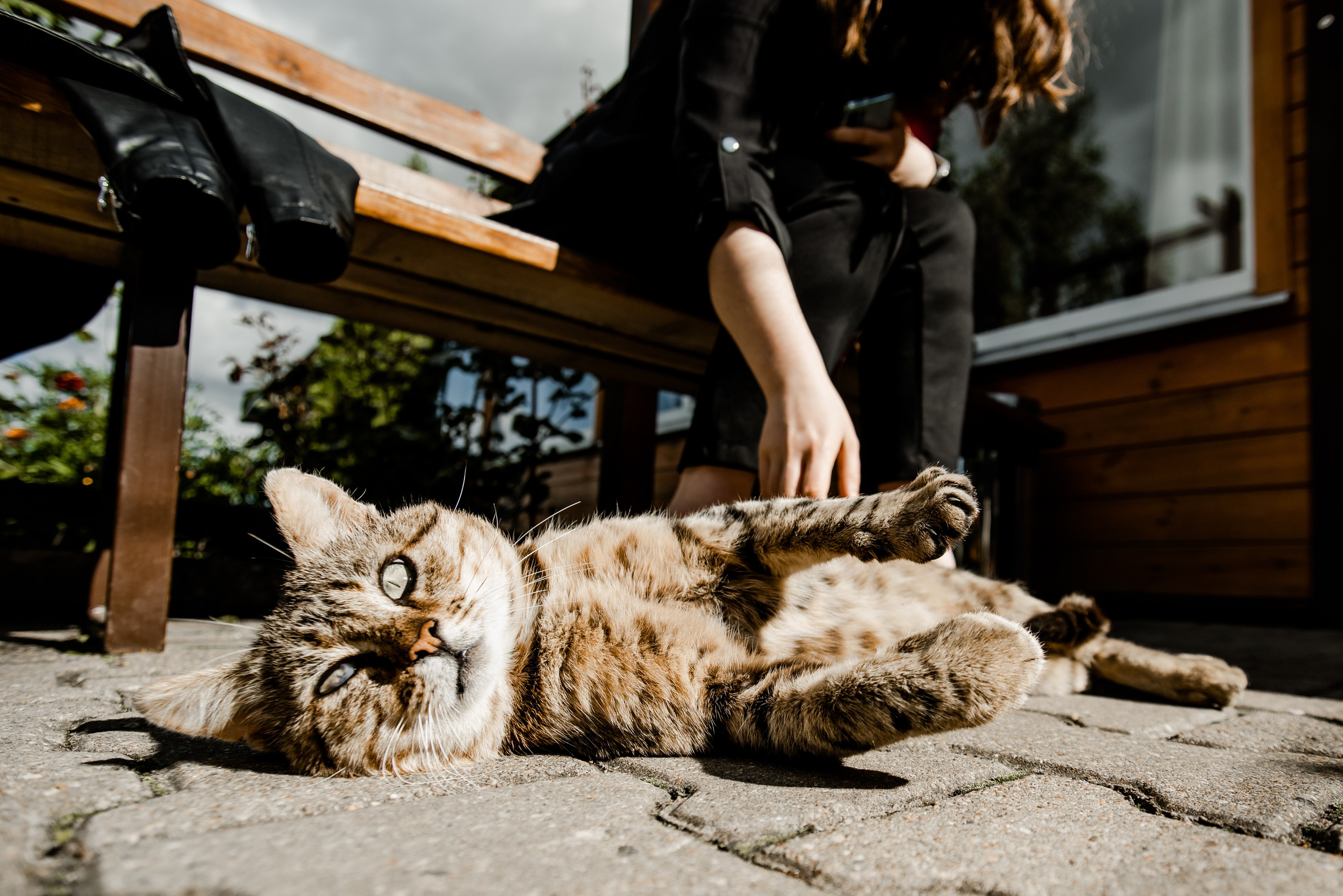 Артём + Вика. Свадебный и репортажный фотограф Грузия