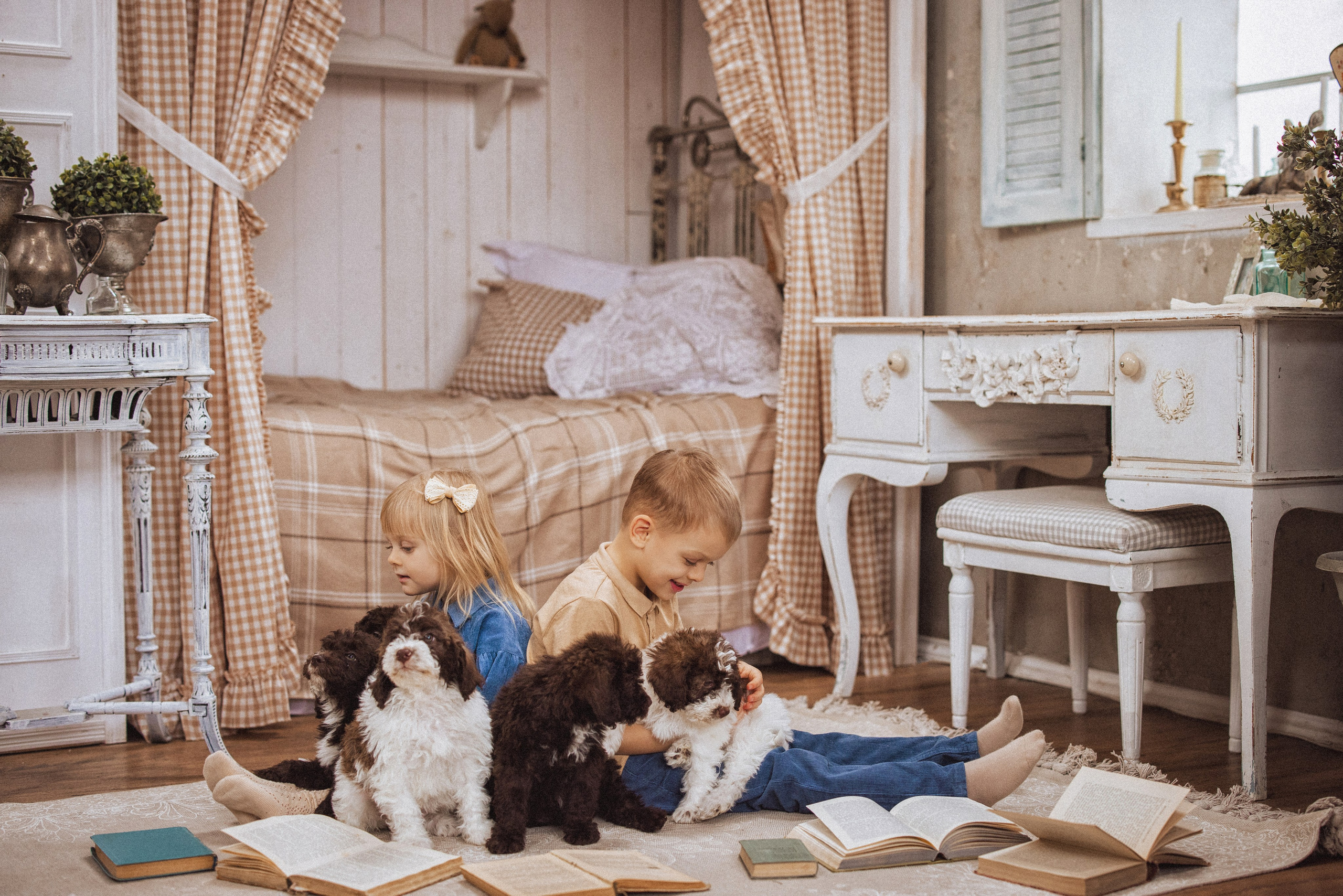 Фотосессия с щенками Лаго́тто-романьо́ло, в Винтажной фотостудии город Краснодар. Семейный и детский фотограф в Краснодаре Анна Трашкова