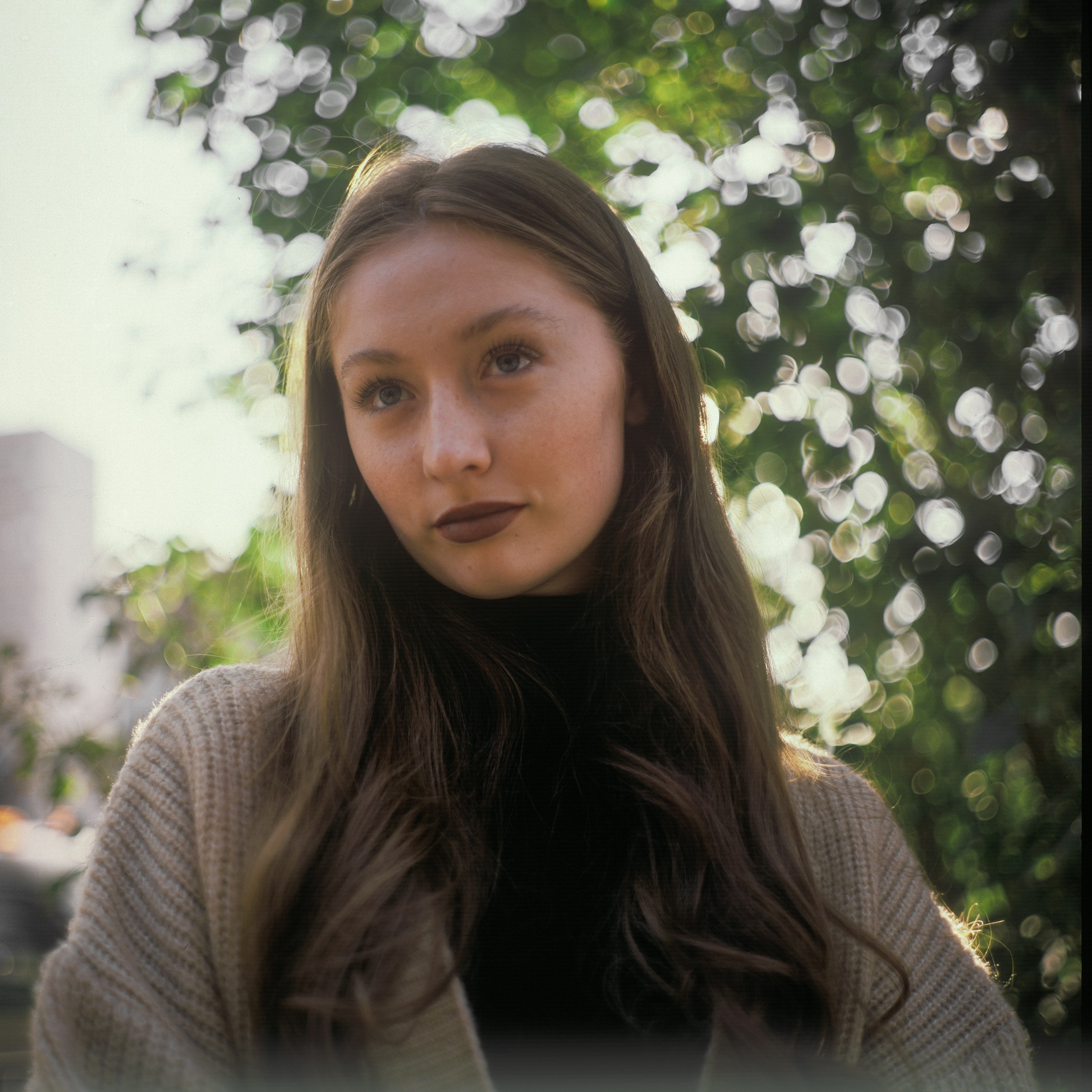 📸 Zenza Bronica EC 🎞️ Fujichrome Provia 100F