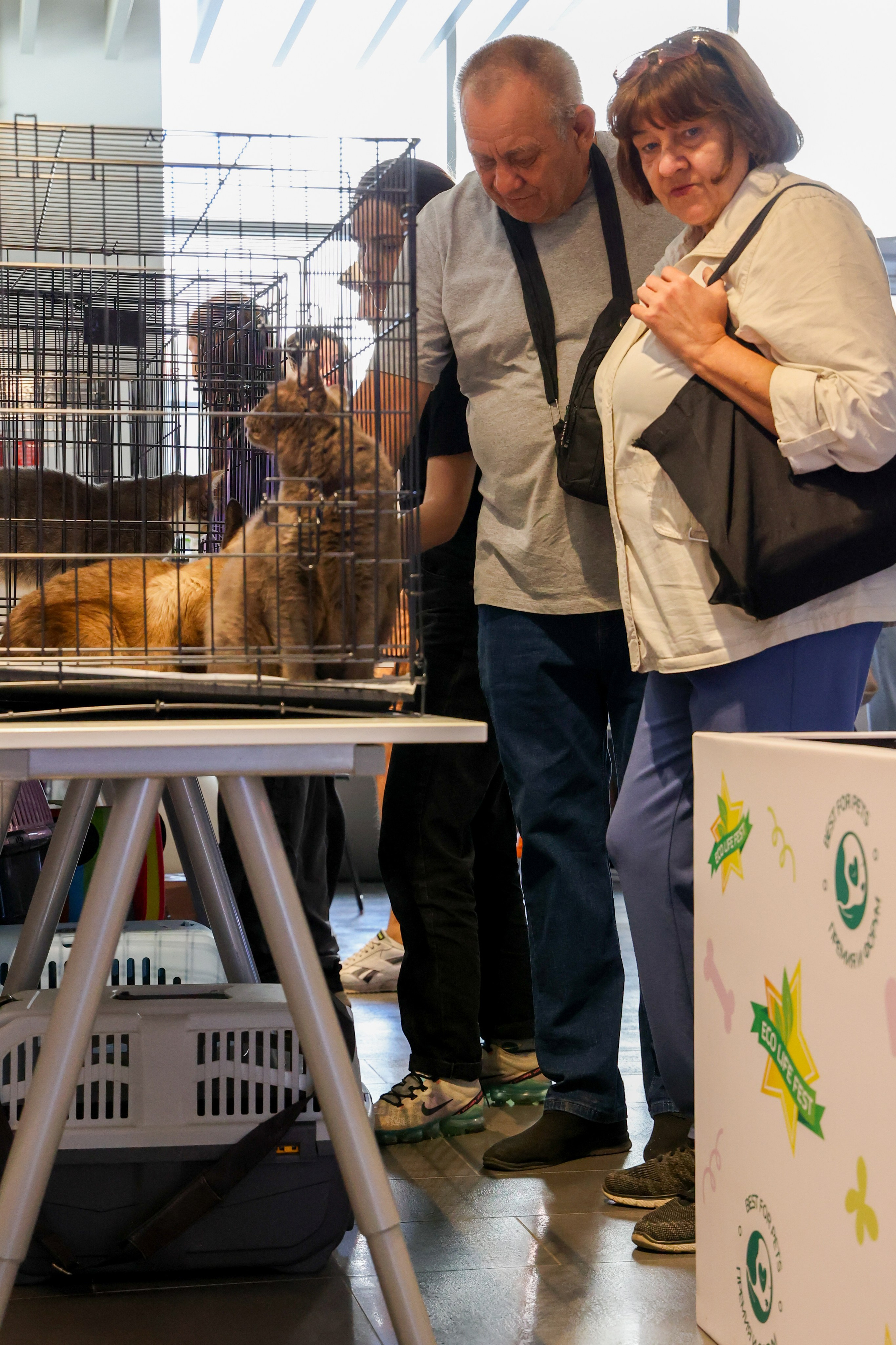 ECO FEST. Фотограф Вадим Бодылев