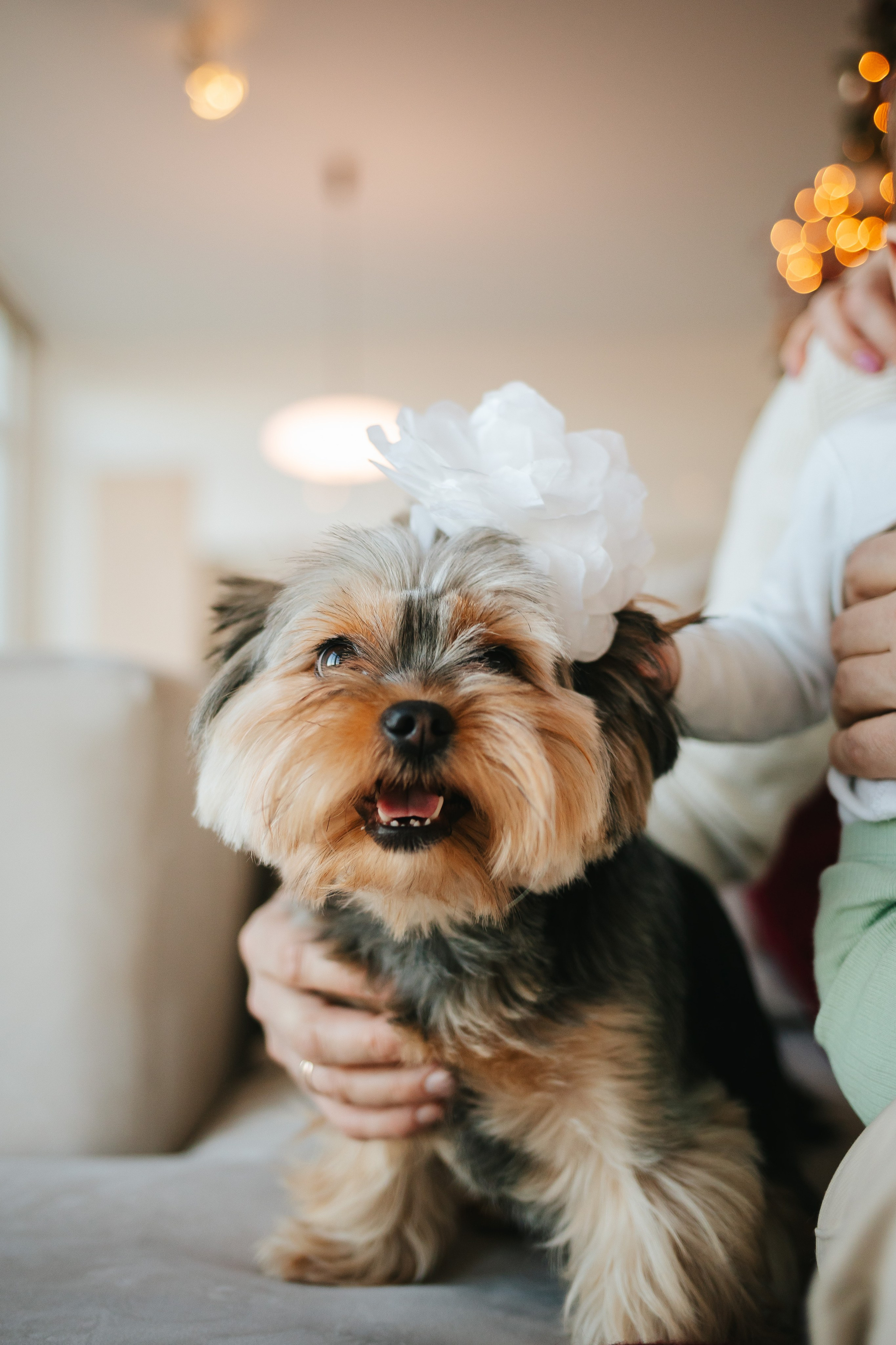 Артур, Оля и Серёжа. Семейный lifestyle фотограф в Санкт-Петербурге Людмила Пахомова