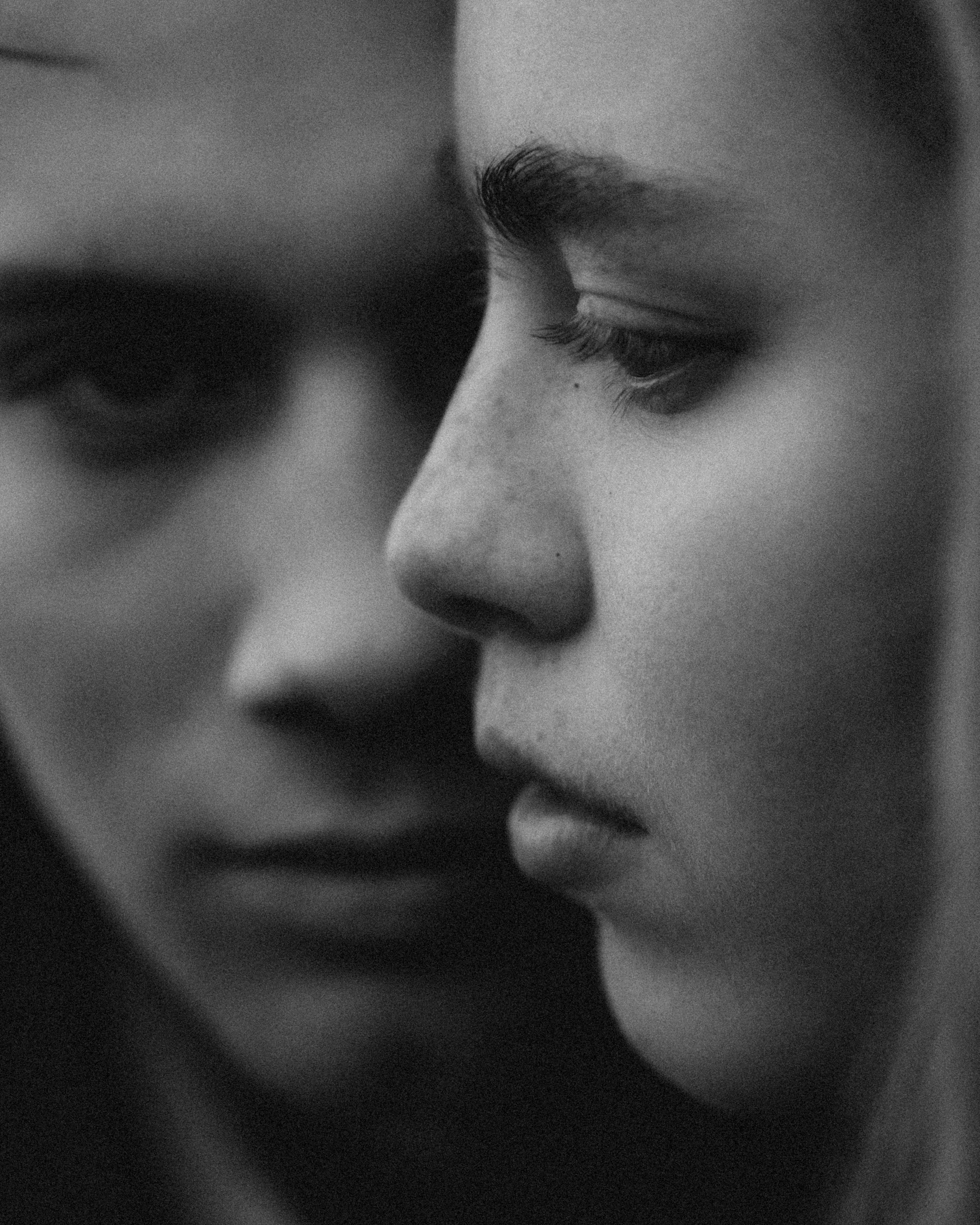 Галки, ветки и любовь. Фотограф Москва Селюкова Юлия