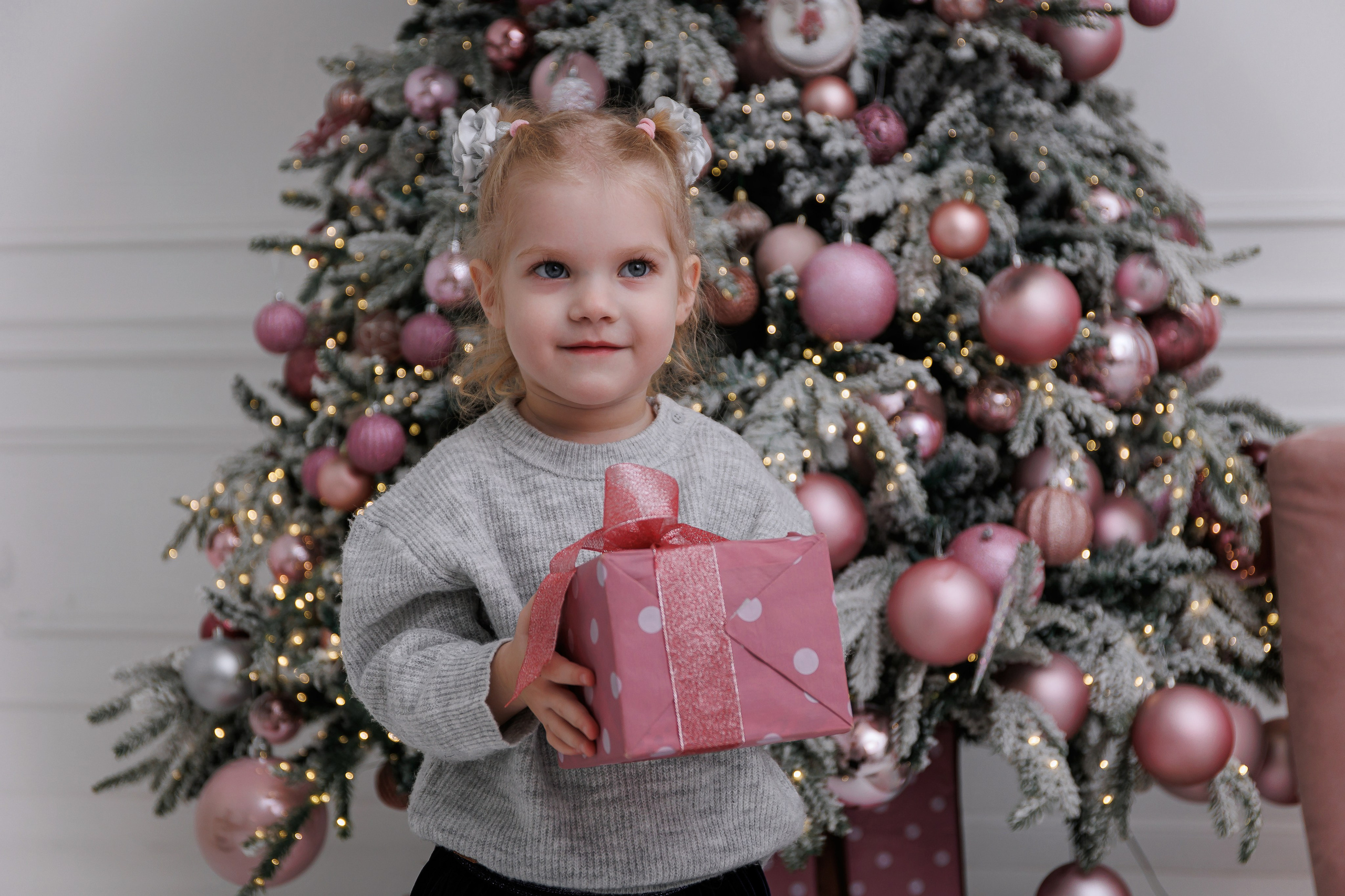 Новый год (Декабрь 2023). Свадебный фотограф в Омске Яна Савина