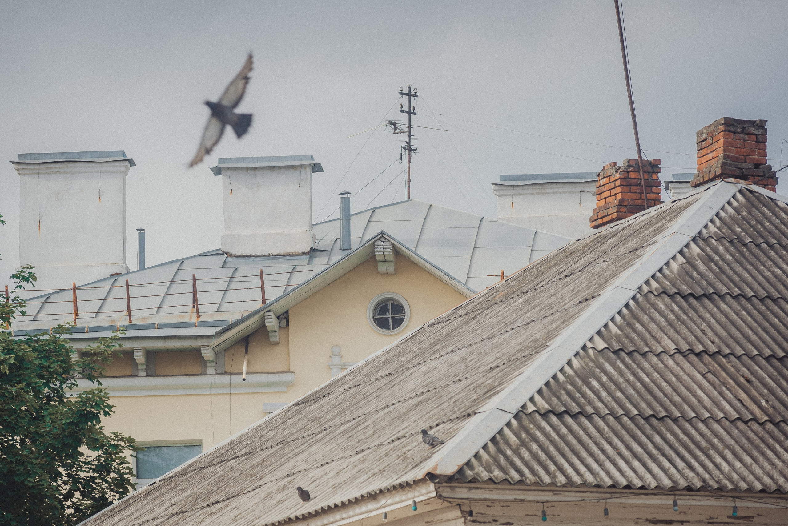 Проект #улицыгорода. Ярославль, Малый Московский пер. Документальный фотограф Илья Тихановский