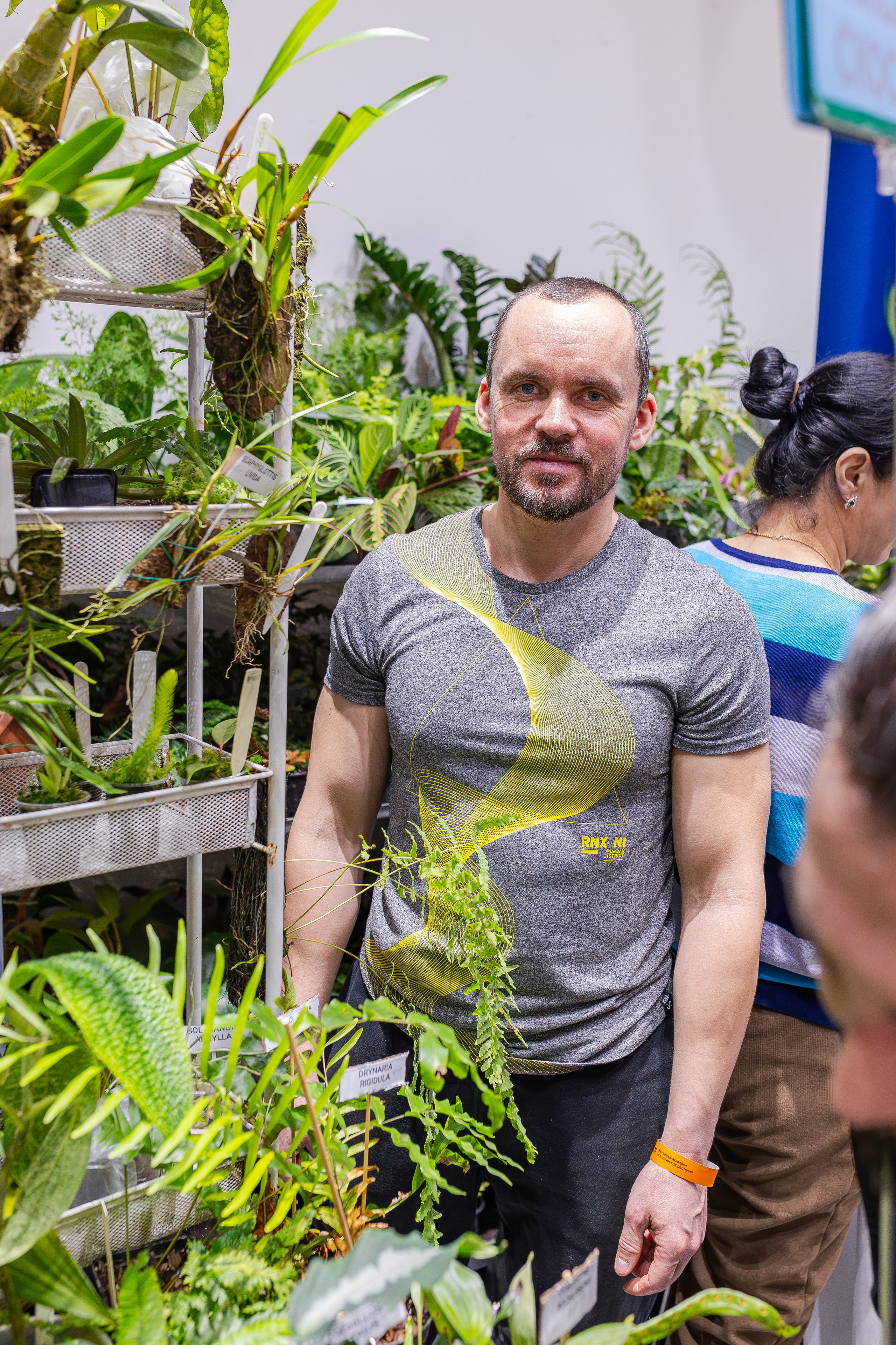 Орхидиум 12.2025. Александра Куликова фотограф, Москва