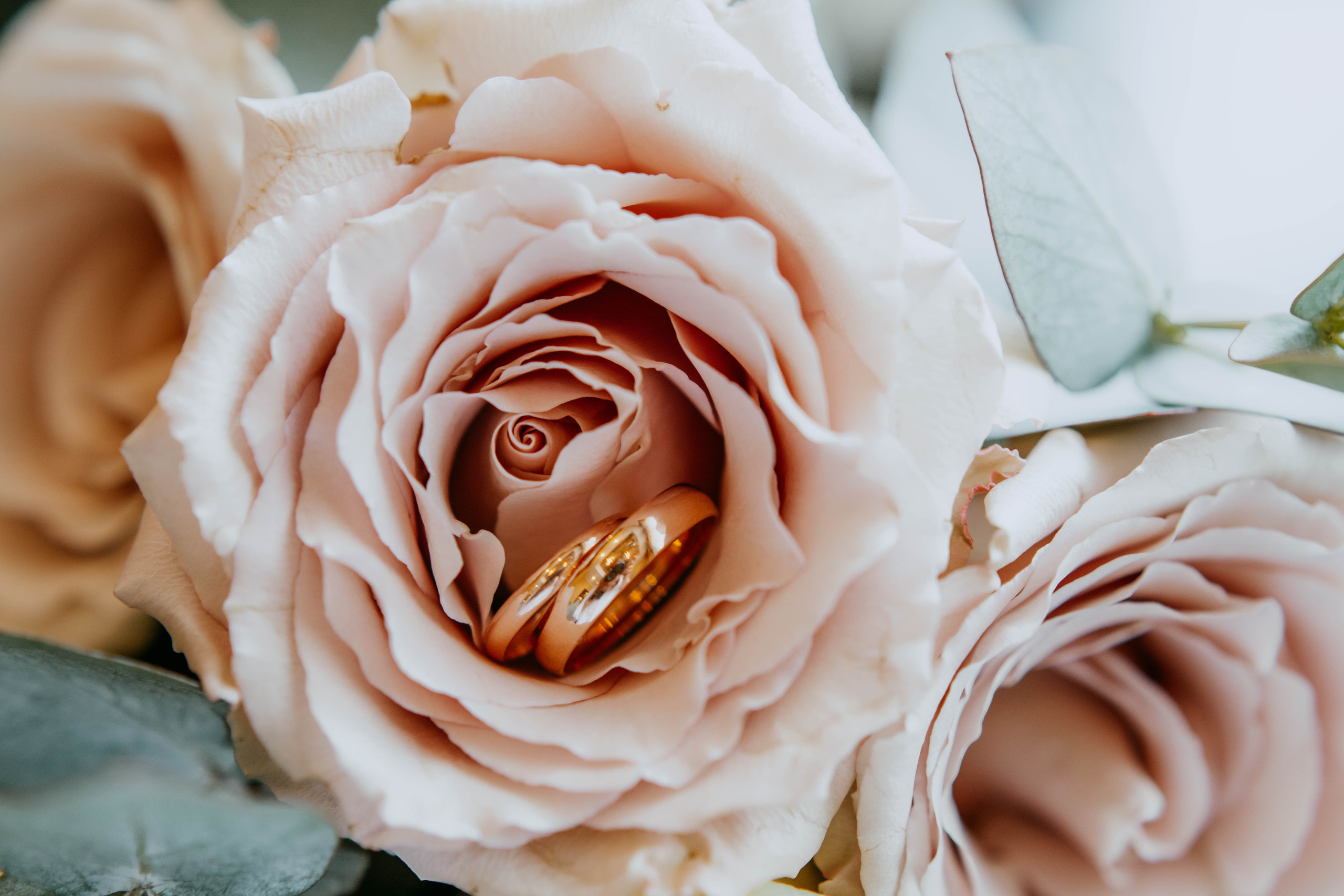 ГЕОРГИЙ И ПОЛИНА. Семейный и детский фотограф в Санкт-Петербурге