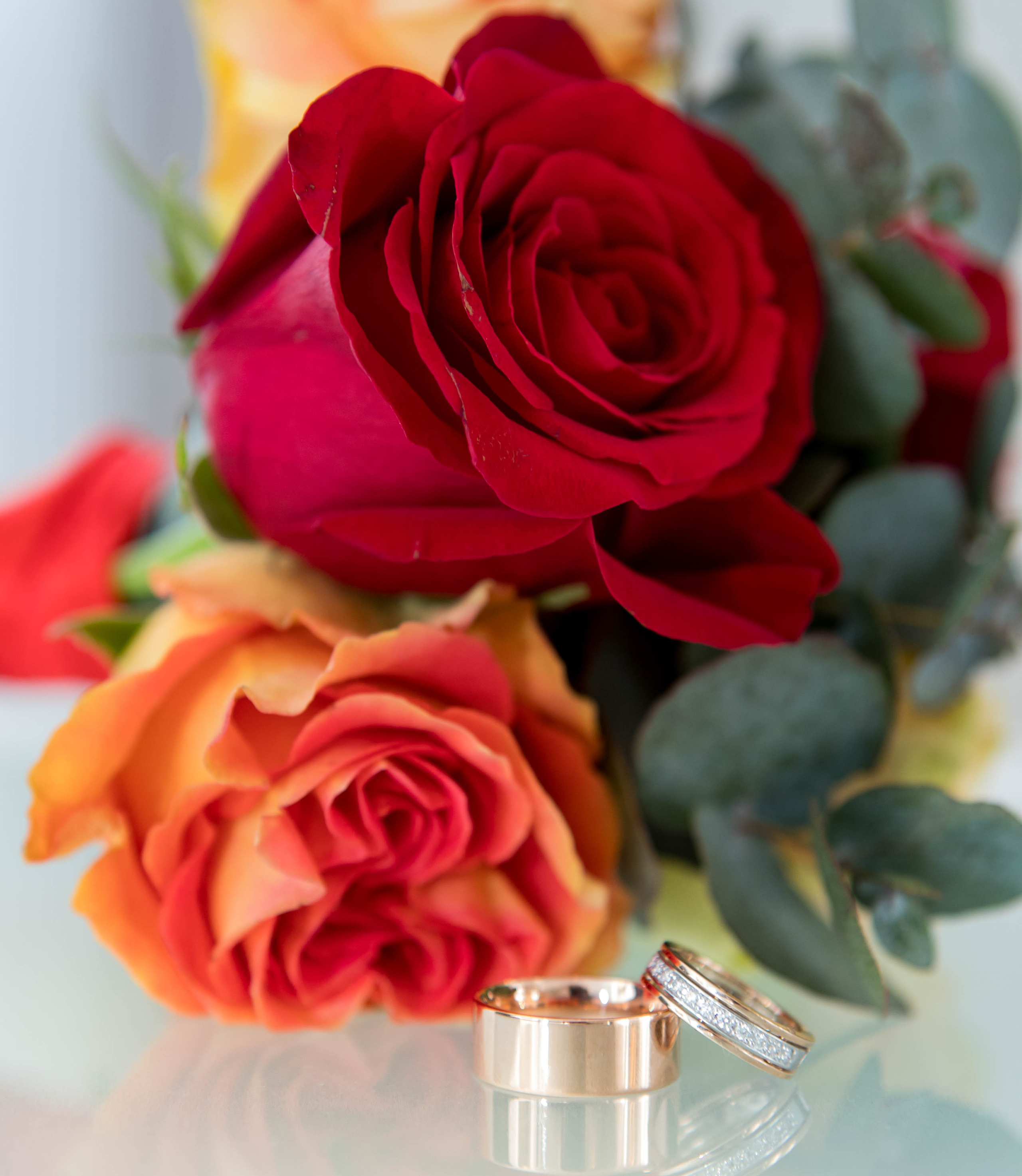 ГЕРМАН и ЕЛИЗАВЕТА. Семейный и детский фотограф в Санкт-Петербурге