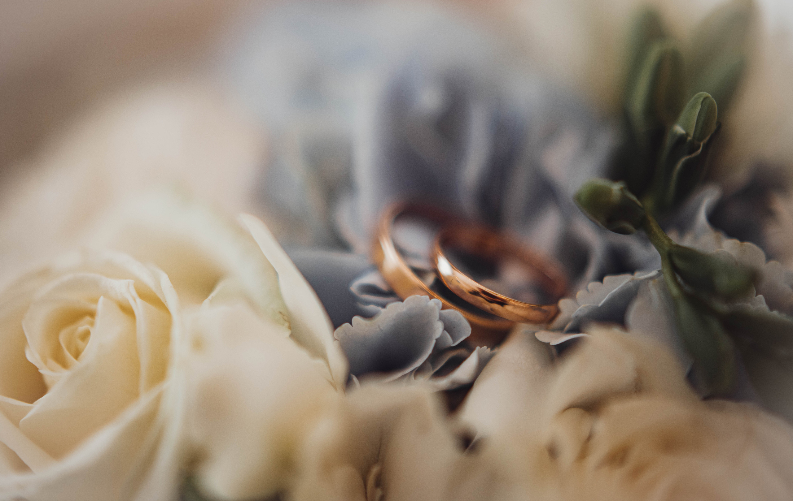 АЛЕКСАНДР и ЕКАТЕРИНА. Семейный и детский фотограф в Санкт-Петербурге