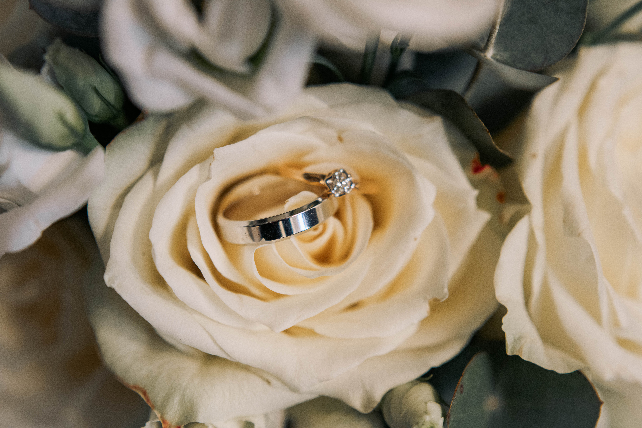 АНДРЕЙ и ЕКАТЕРИНА. Семейный и детский фотограф в Санкт-Петербурге