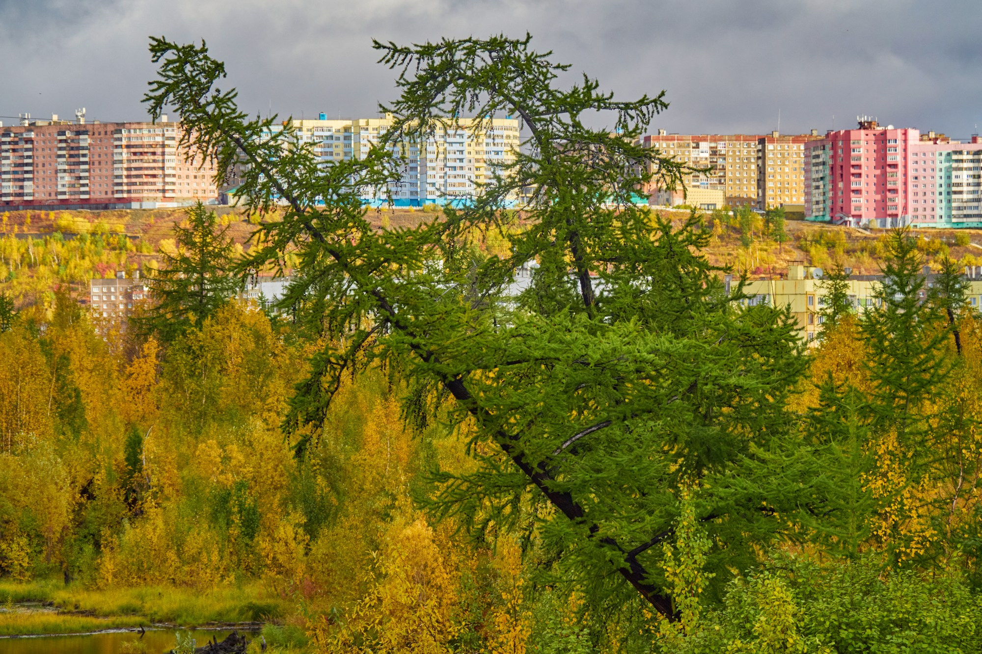Природа.Осень. Талнах.рф