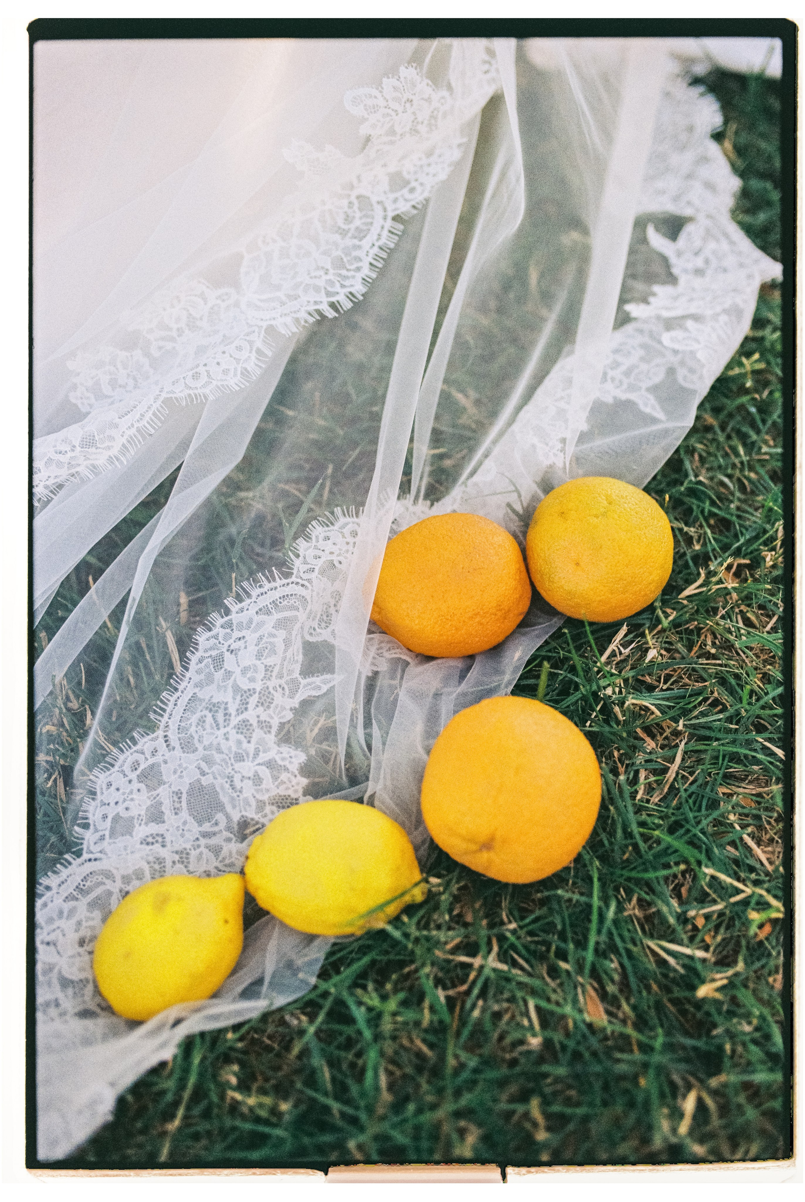 Пленка. Свадебный фотограф в Ростовe-на-Дону Анастасия Прутова