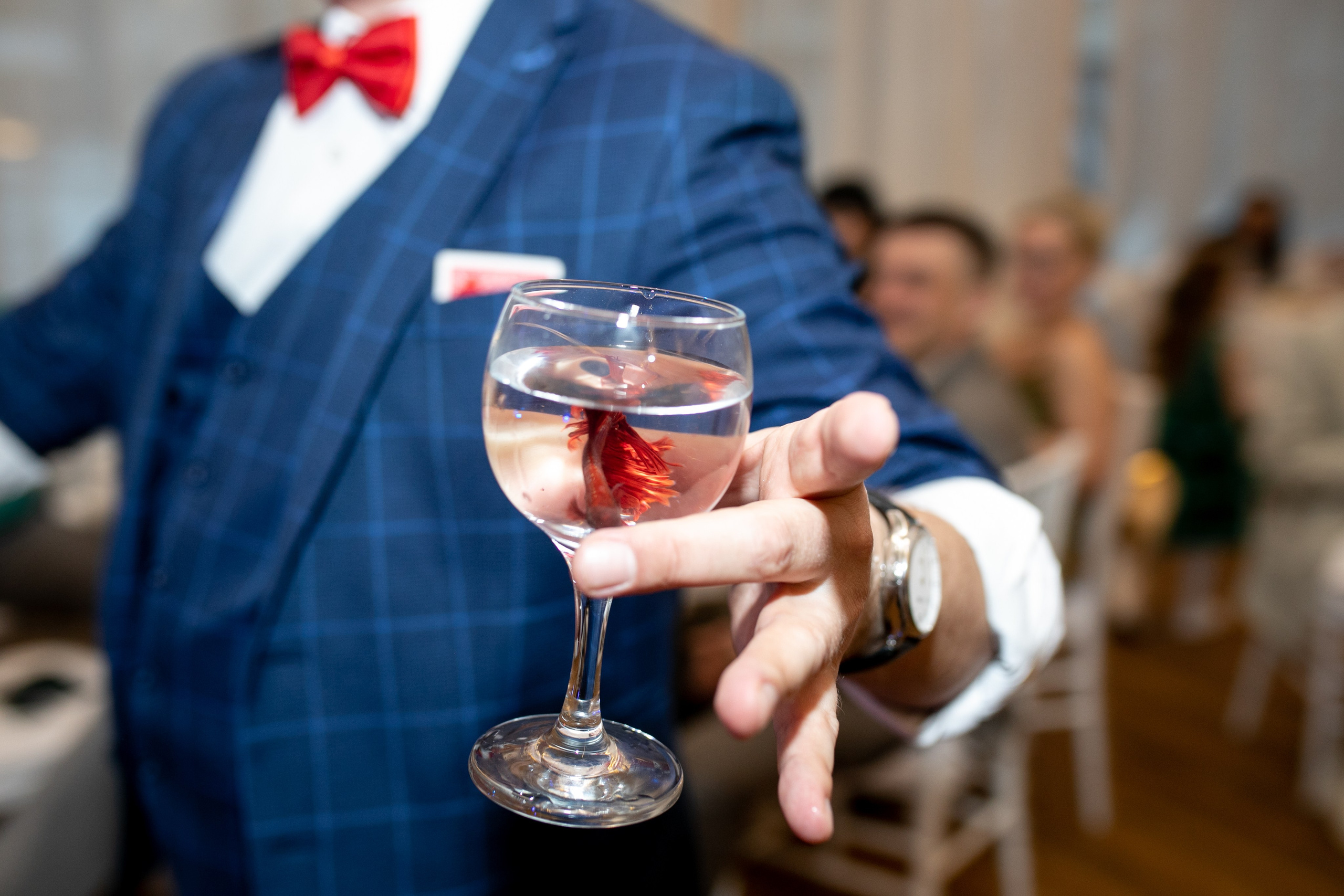 28-02-25. Фотограф в Новосибирске Ася Зверева