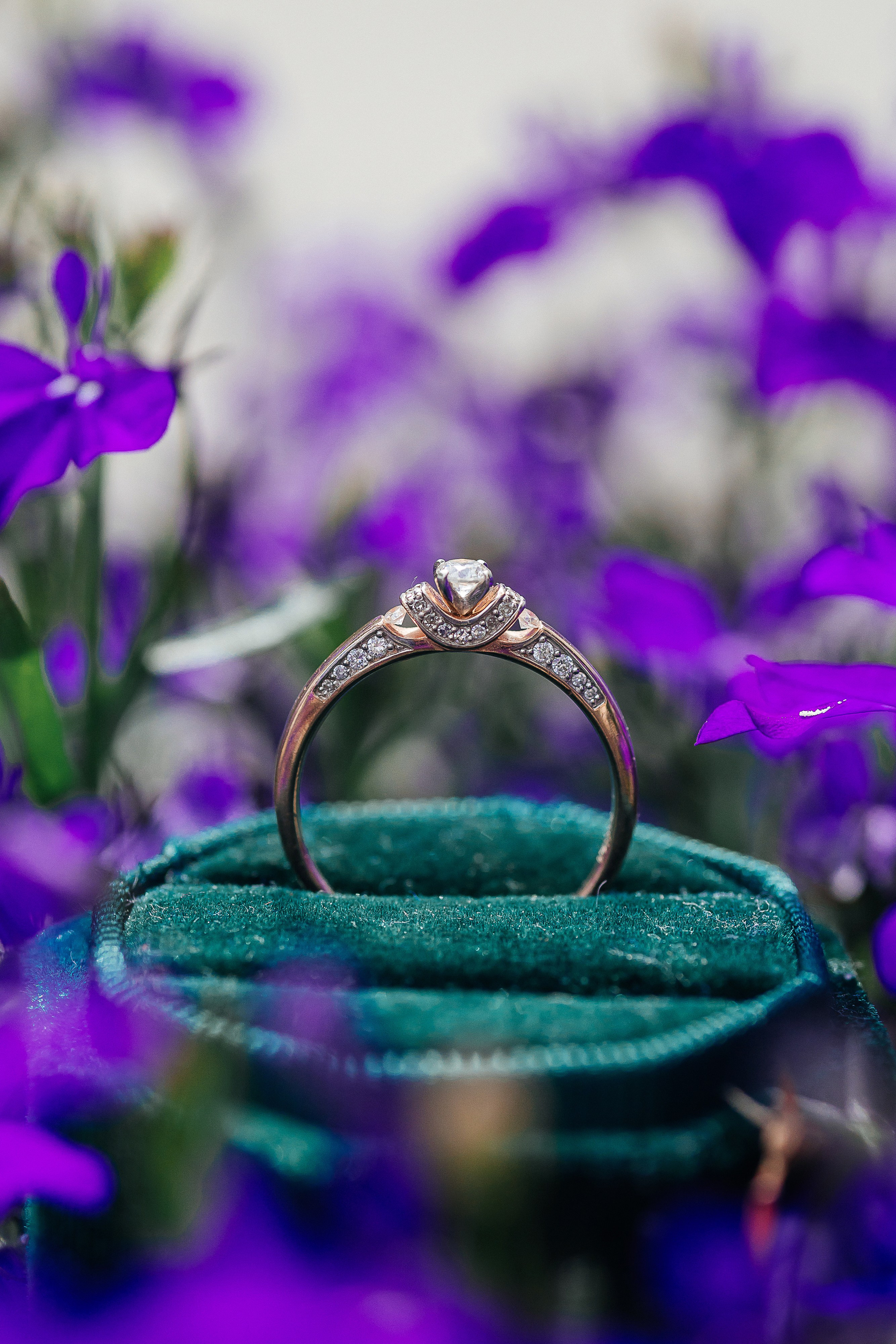 Photography Сверчков Олег