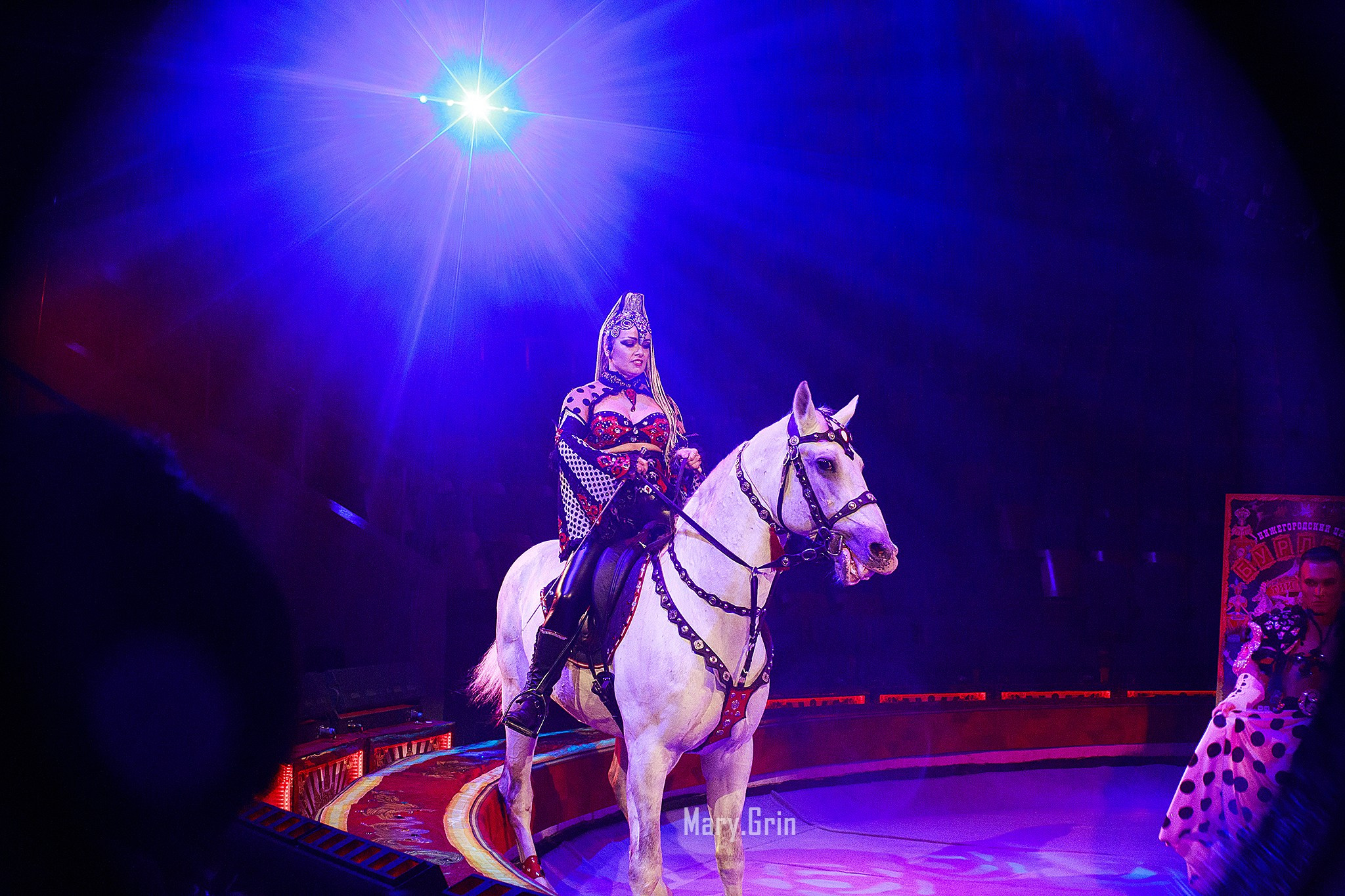 Цирк Гии Эрадзе. Детский и семейный фотограф, фотограф мероприятий Нижний Новгород