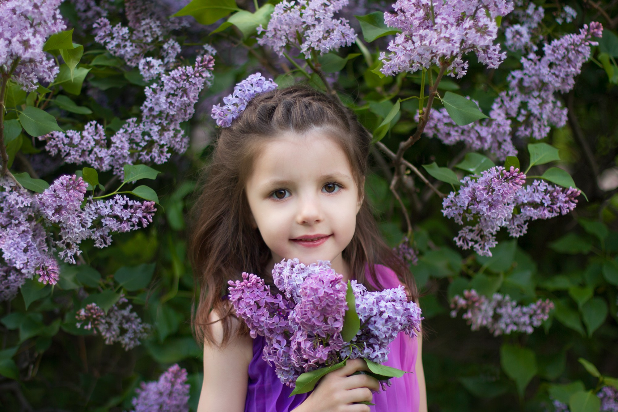 Сиреневый сад в Москве