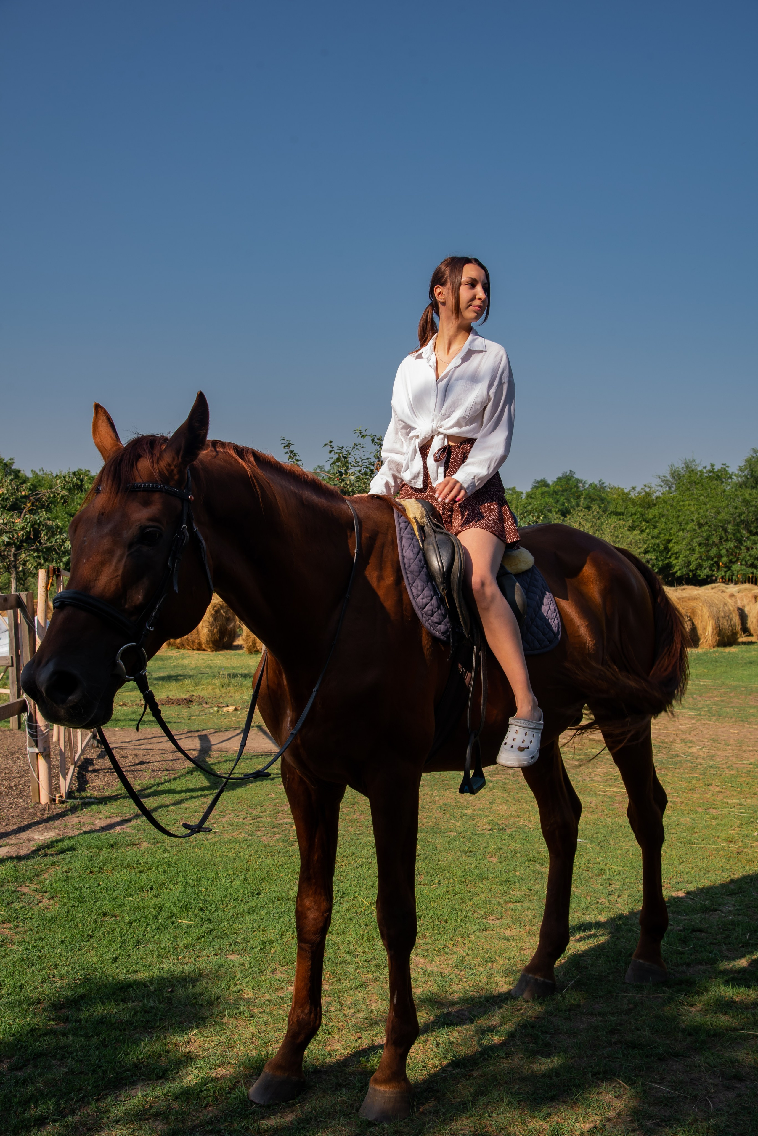 Конная прогулка. Фотограф Галина Нестерова