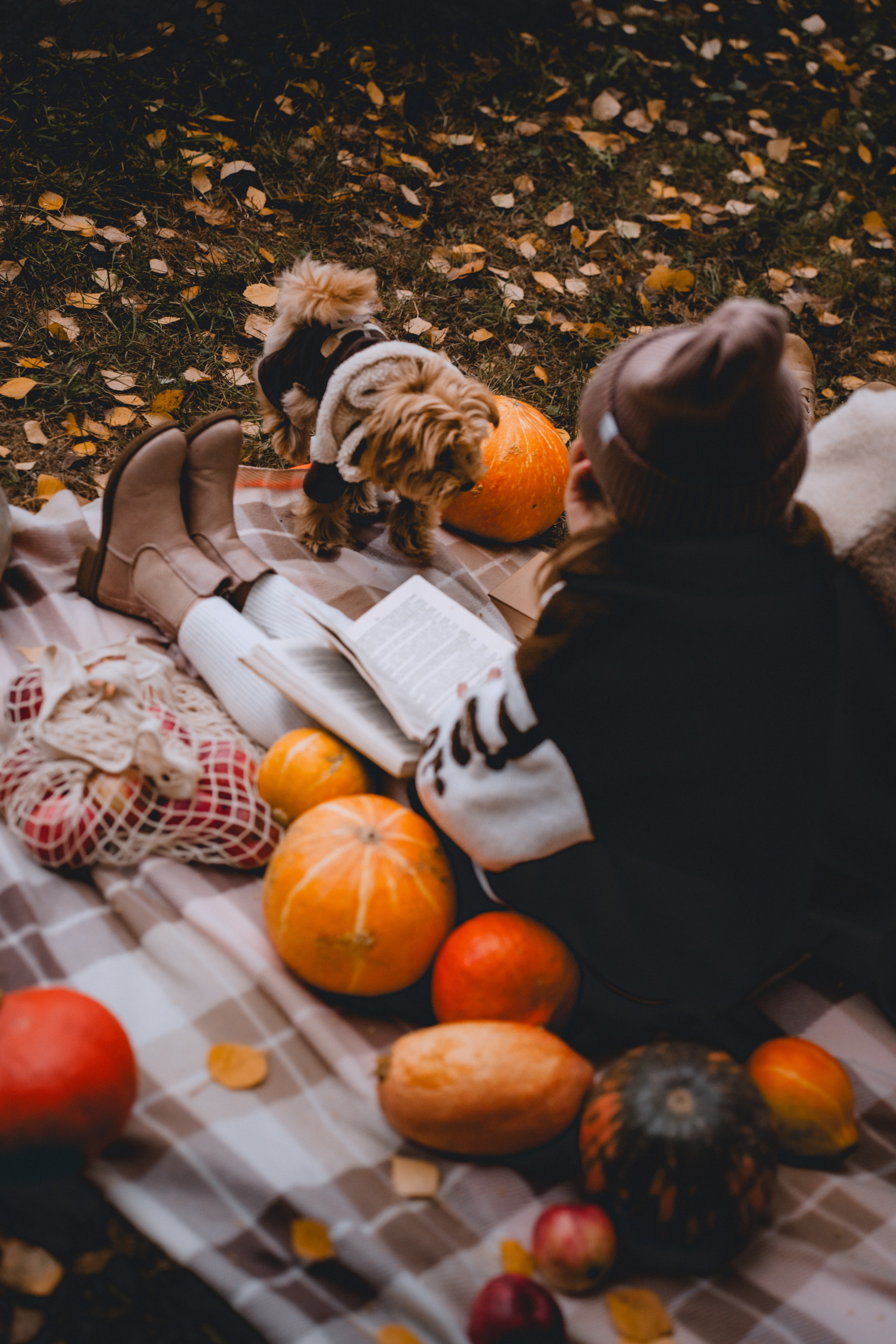 Анастасия, Владимир, София, Александрия. Свадебный и семейный фотограф Мария Ланге