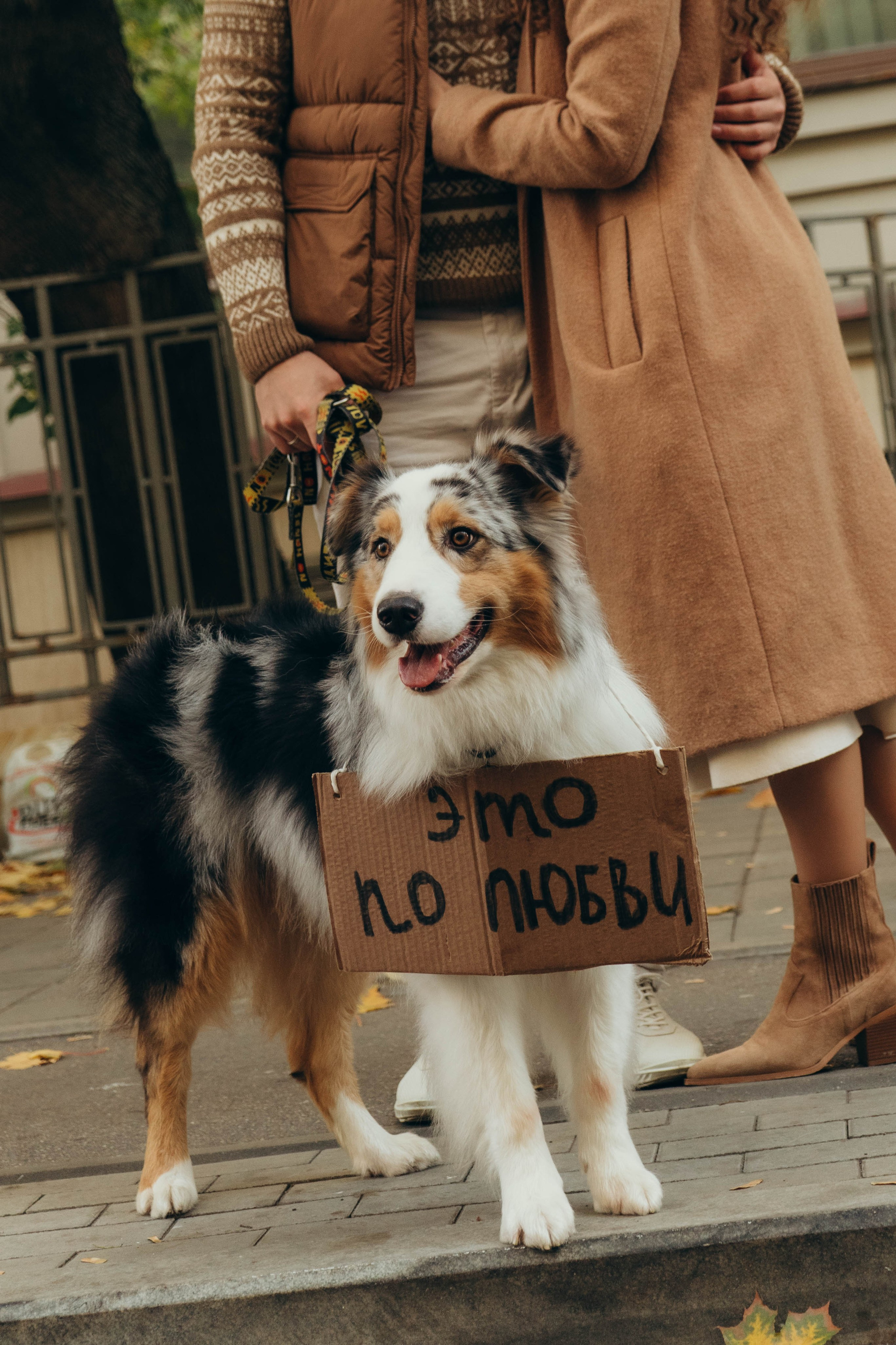 Аня, Влад и Джонни