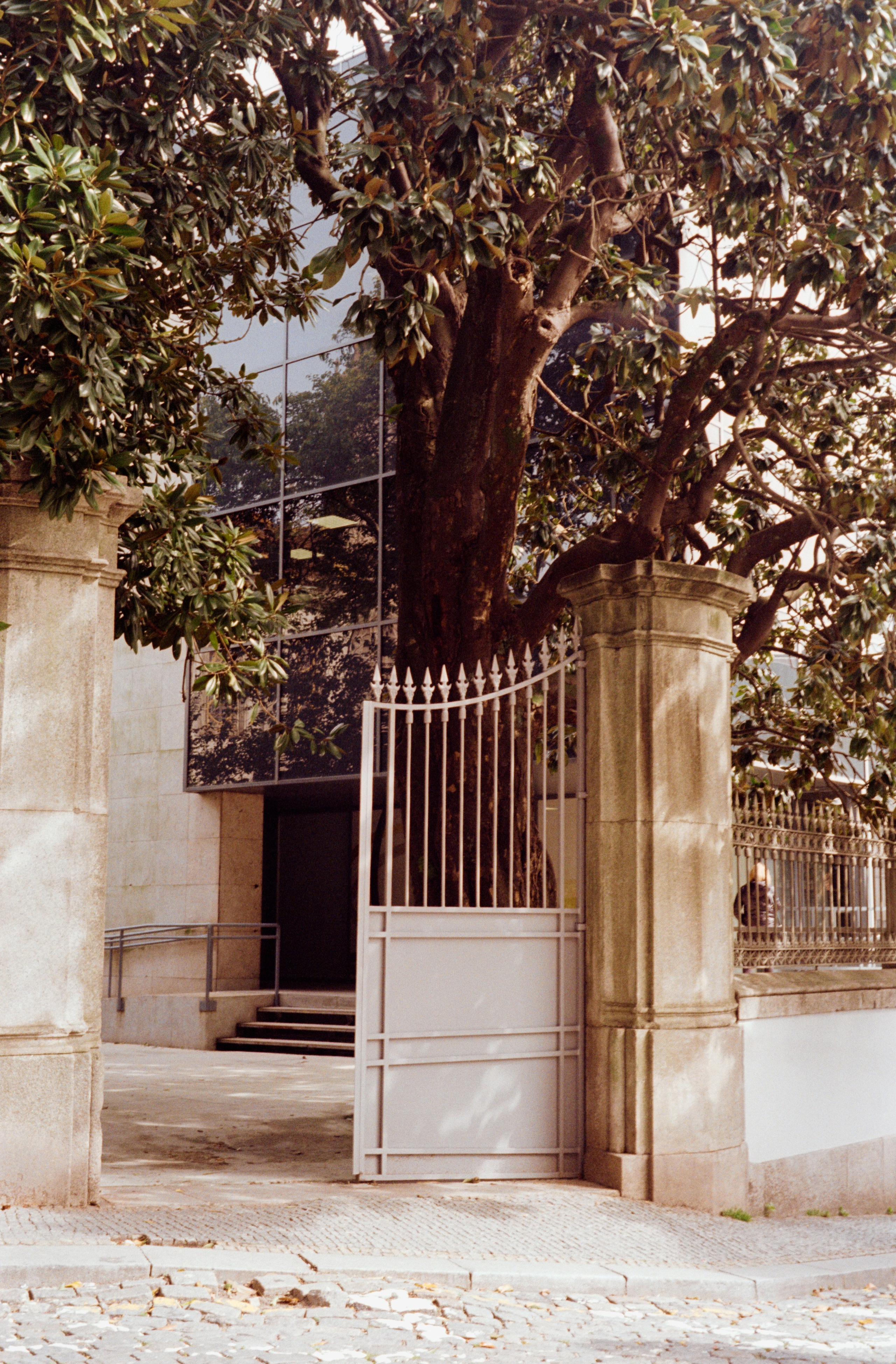 Contacts. FilmLab.pt