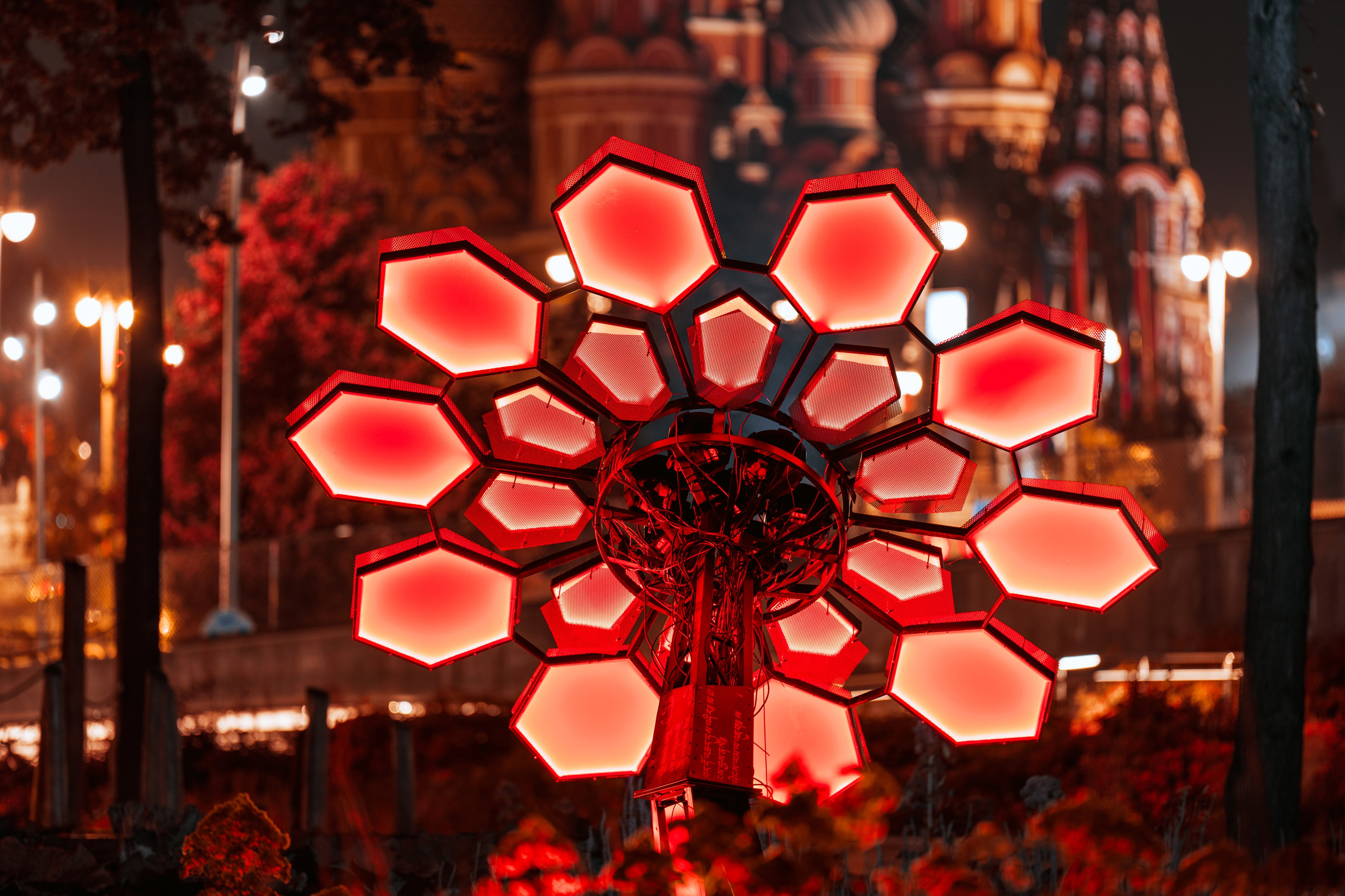 PANTERRA, Cyber Flower. @tomrus: Рустам Шагиморданов — фотограф