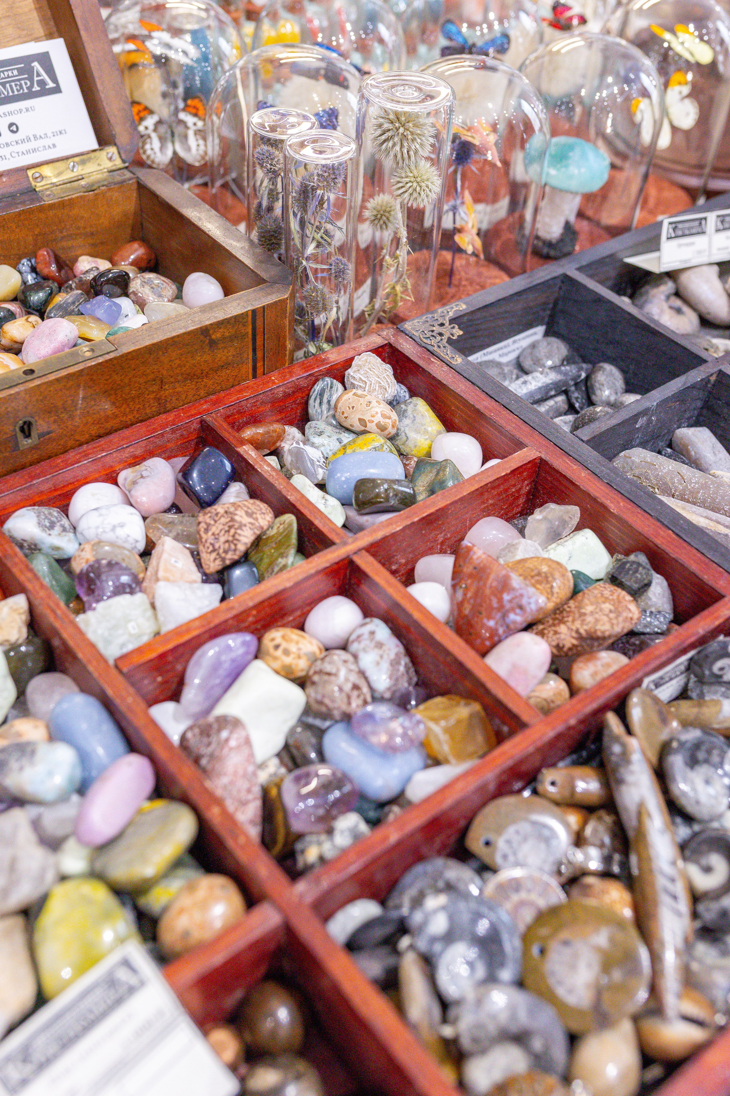 Монстериум 11–12 октября. Александра Куликова фотограф, Москва