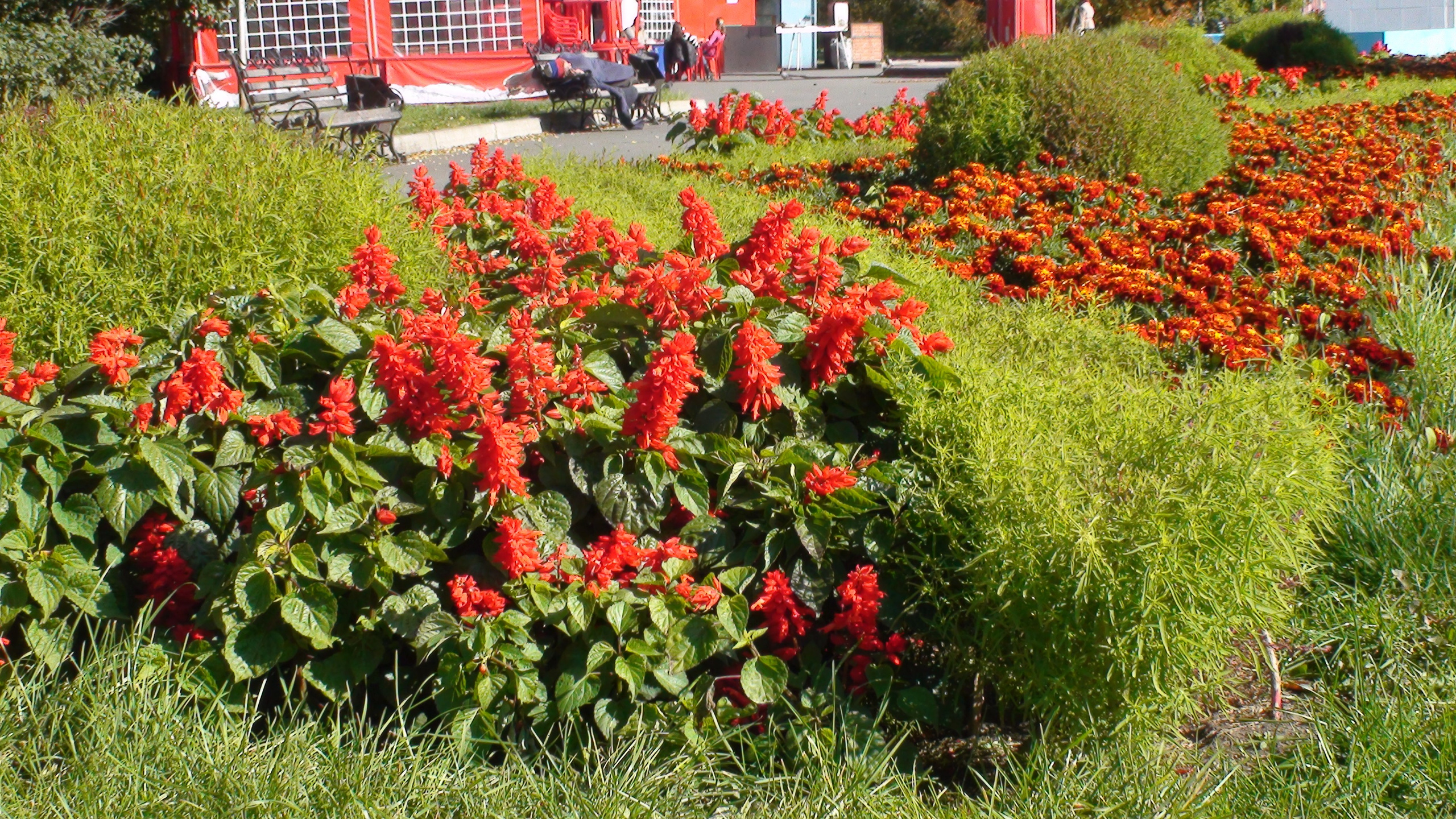 Песочные фигуры с Рускалевы 20.09.2009. Семейный, Свадебный фотограф СПБ Питер— Романова Екатерина