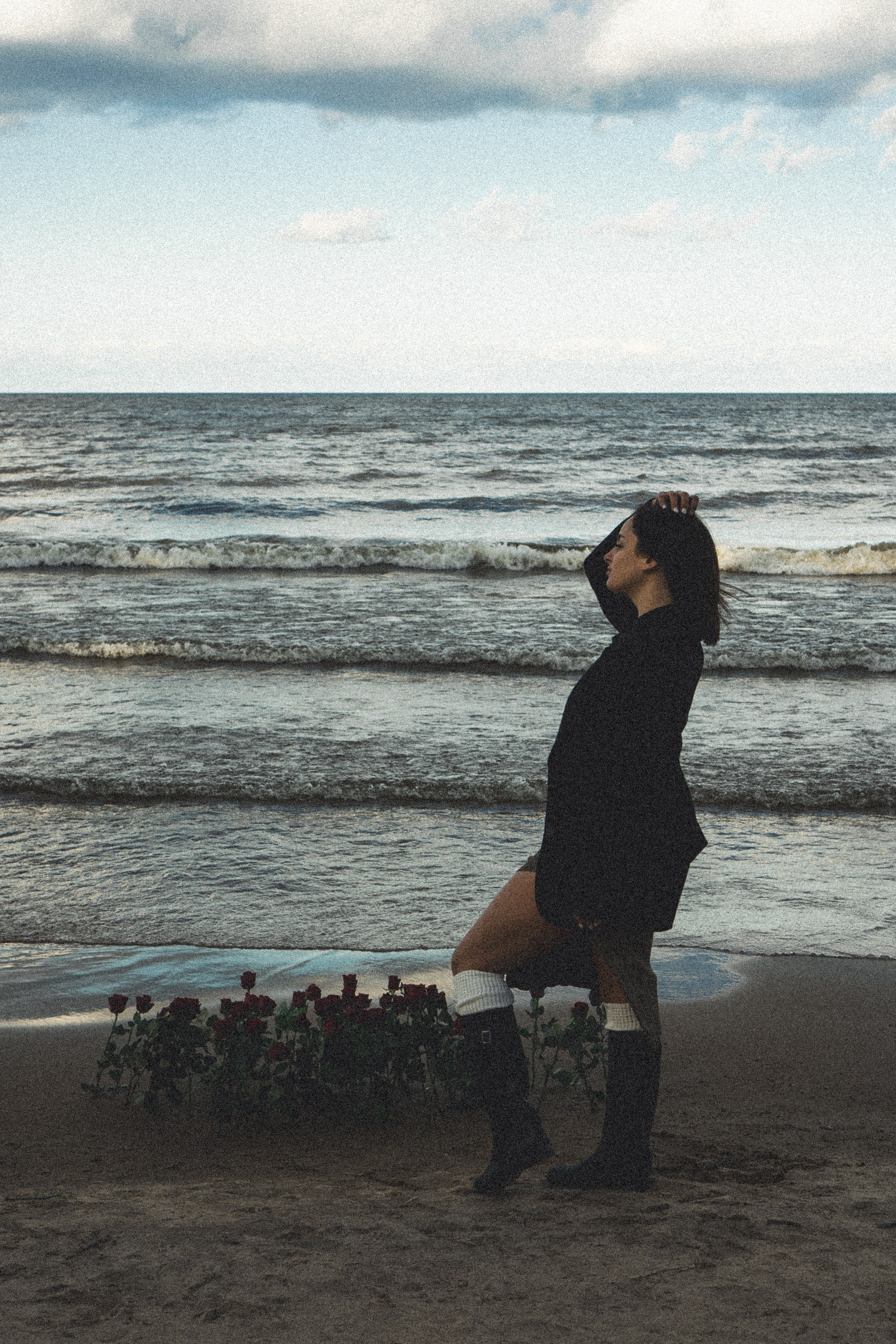 Розы. Профессиональный фотограф, Санкт-Петербург — Виктория Богомолова