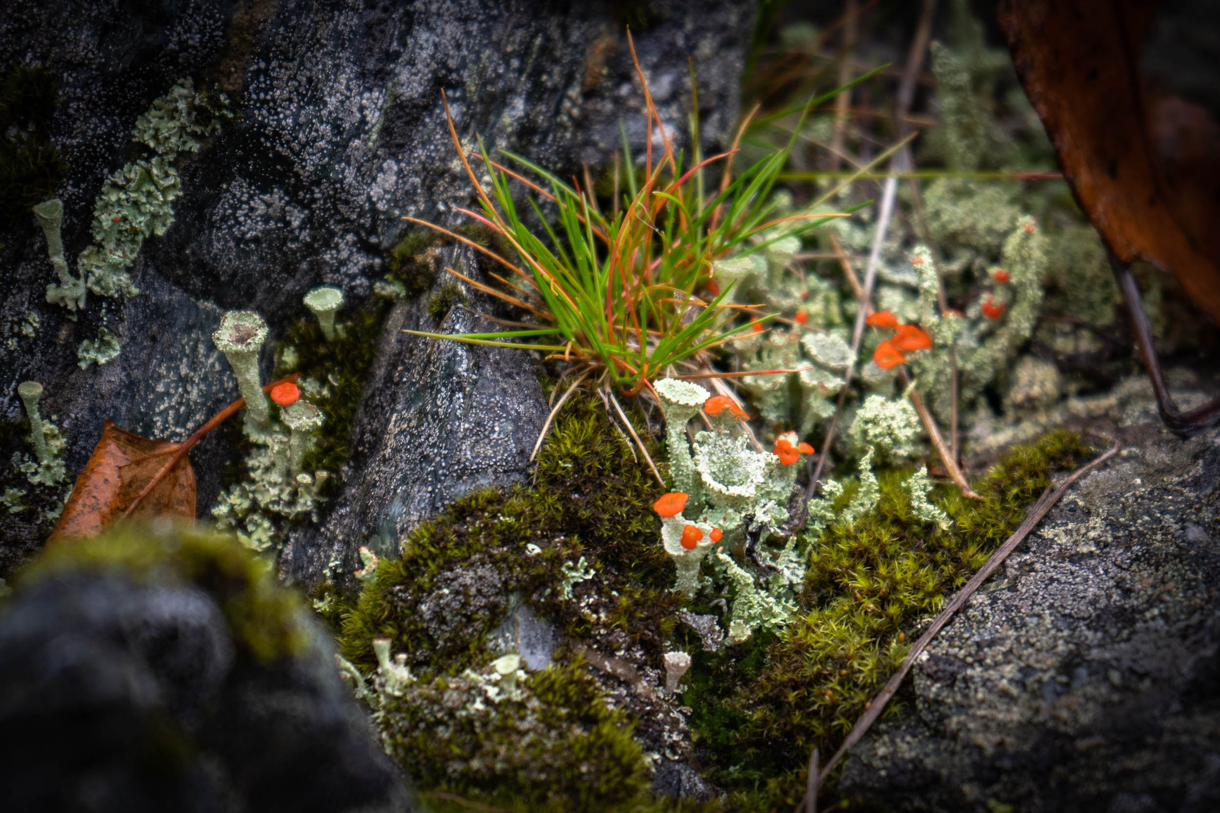 Уборка перрона п.Полярный, станция «110 км». Фотограф Екатерина Зорина