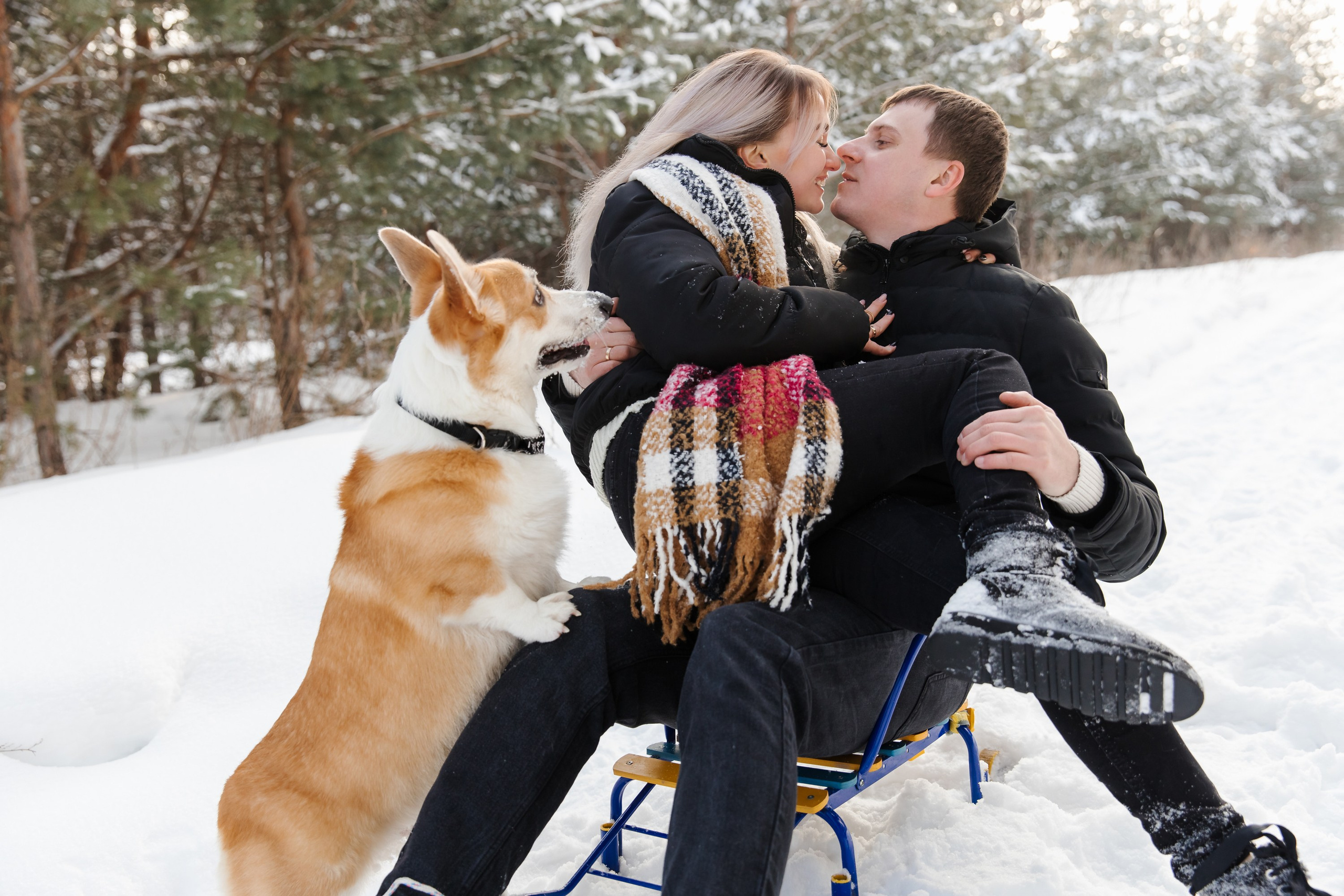 Герман, Алиса и Степочка. Маргарита Рубцова свадебный фотограф Тольятти