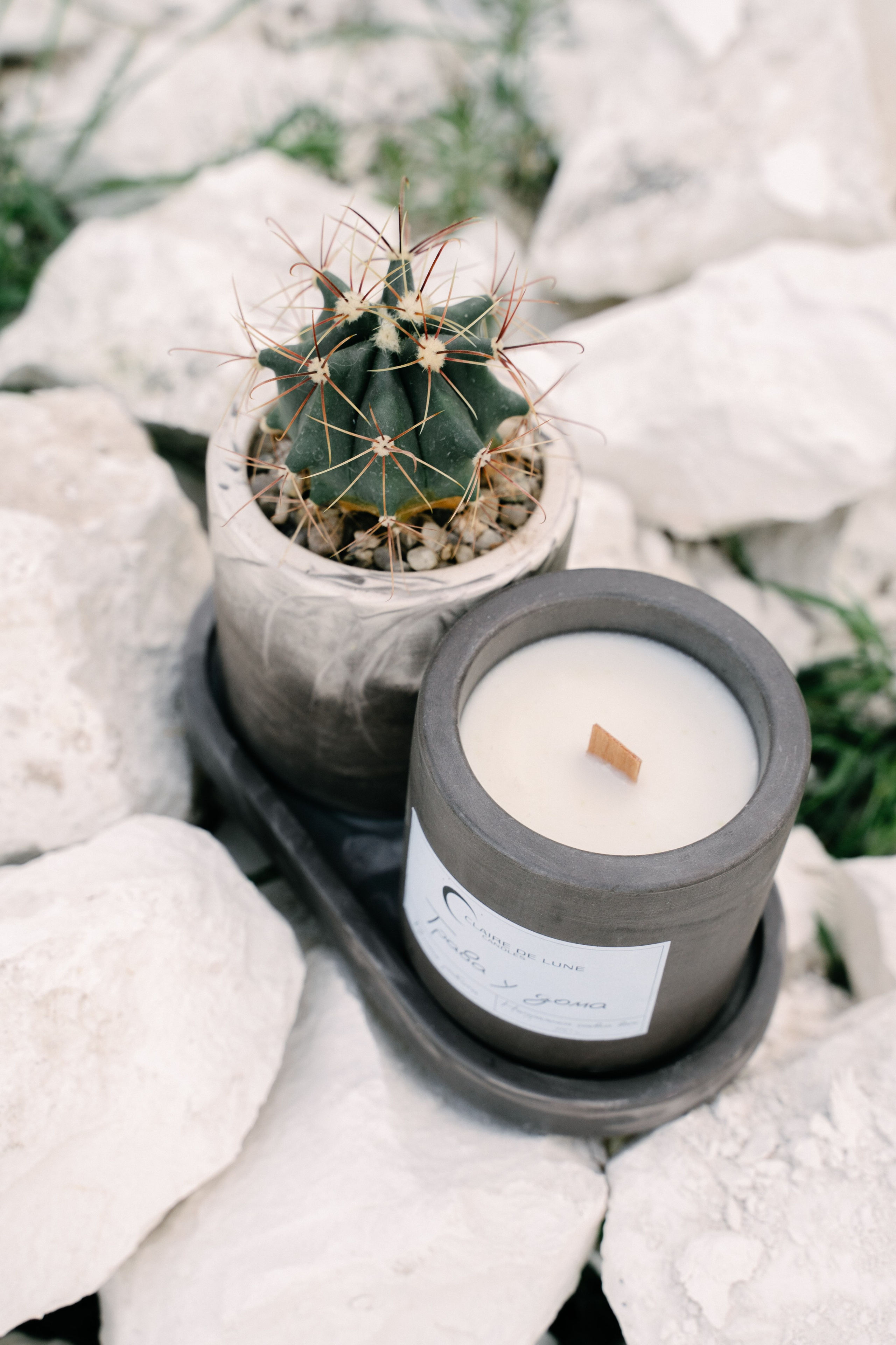 Свечибар «Лунный свет». Свадебный фотограф Юлия Копылова