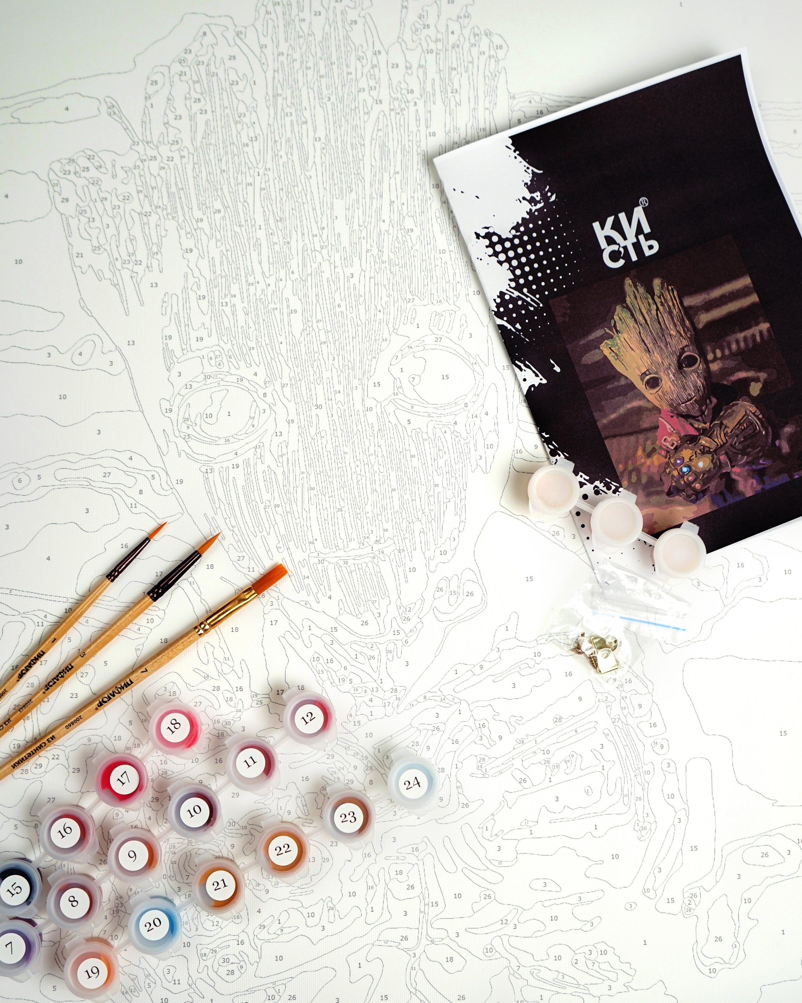 Картина по номерам. Концептуальный фотограф Шлыкова Ольга