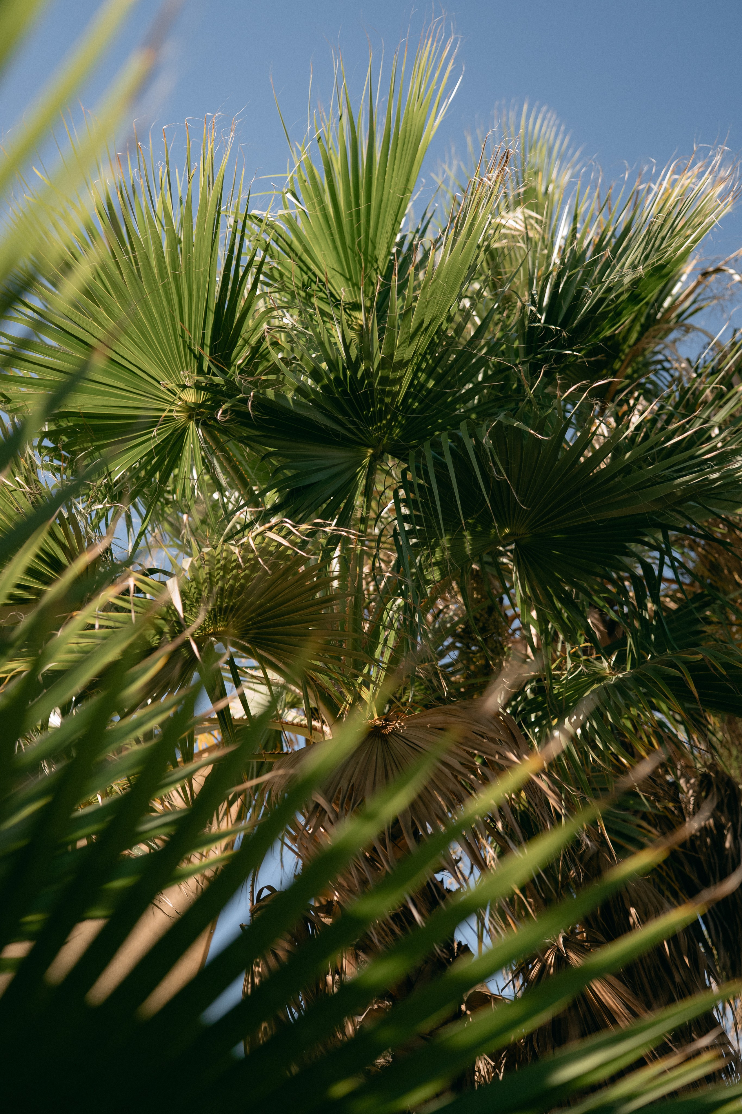 American-Russian Wedding. Wedding & Documentary Photographer based in Nuremberg — available across Europe & Turkey | Vitalii Nasonov