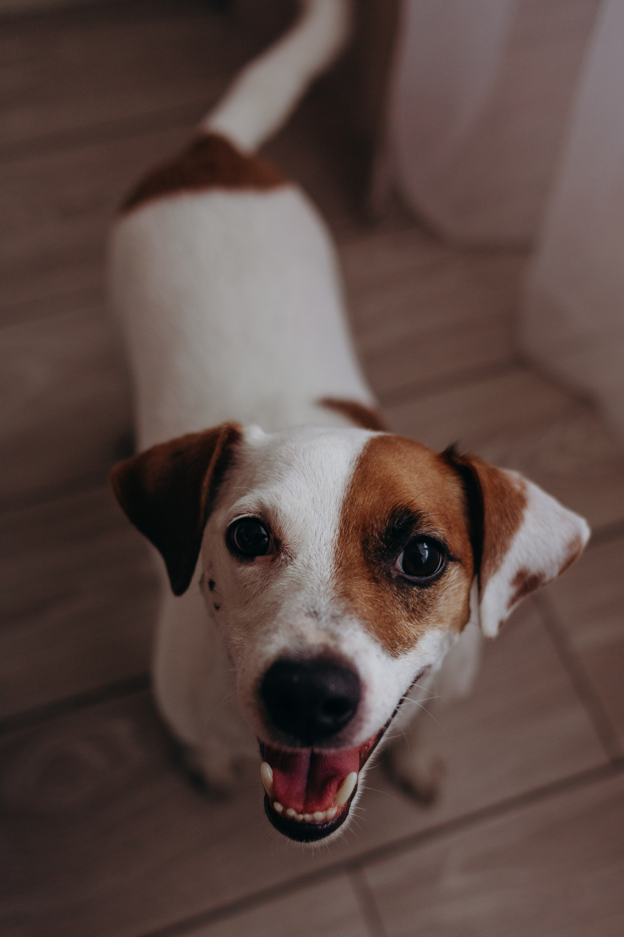 Дом, где живет любовь. Семейный фотограф во Всеволожске и Санкт-Петербурге Юлия Капустина