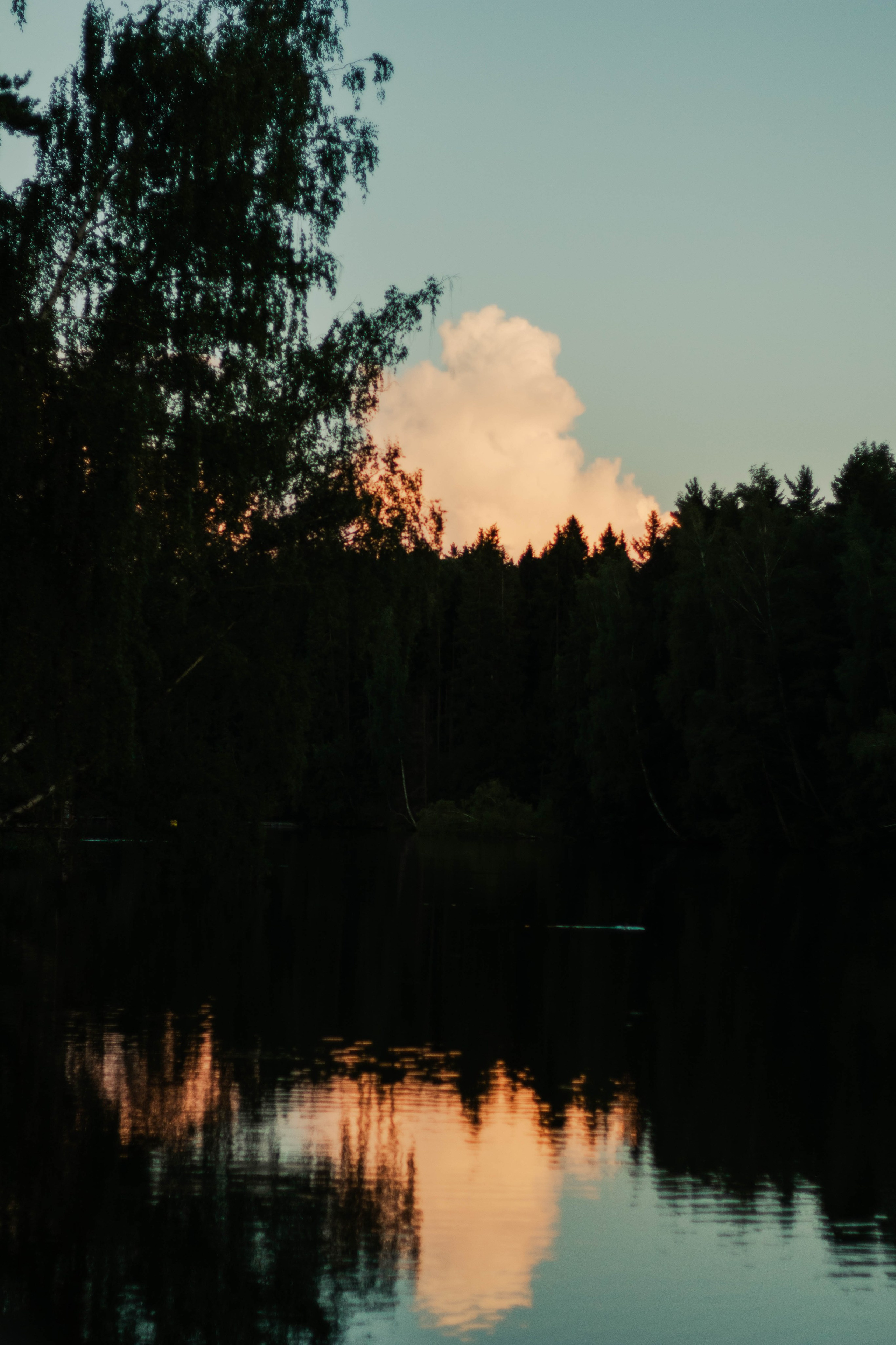 Ульяна и Дима. Мария Колесникова