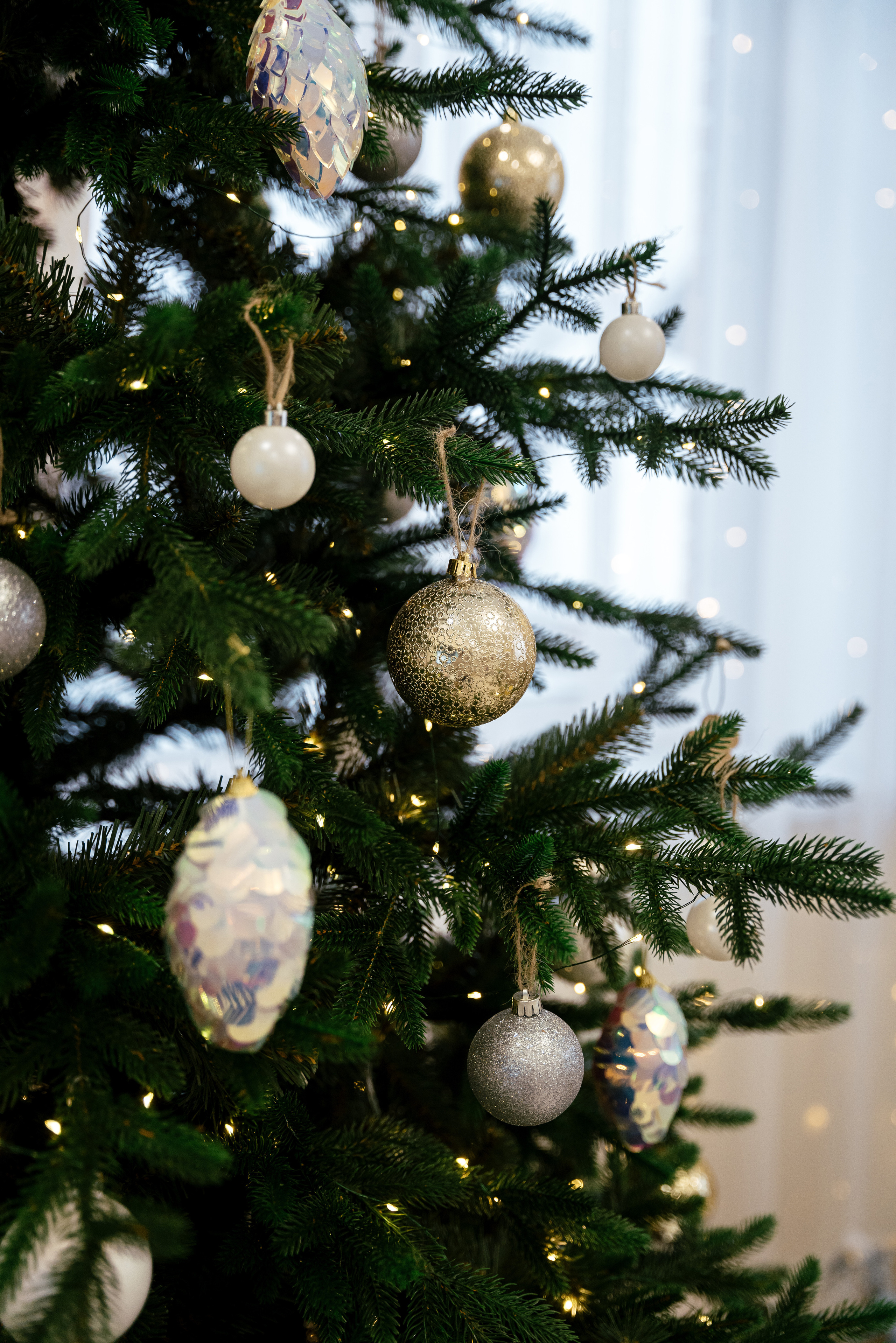 20.12.2021 Family. Фотограф Томск, Новосибирск Влад Свириденко