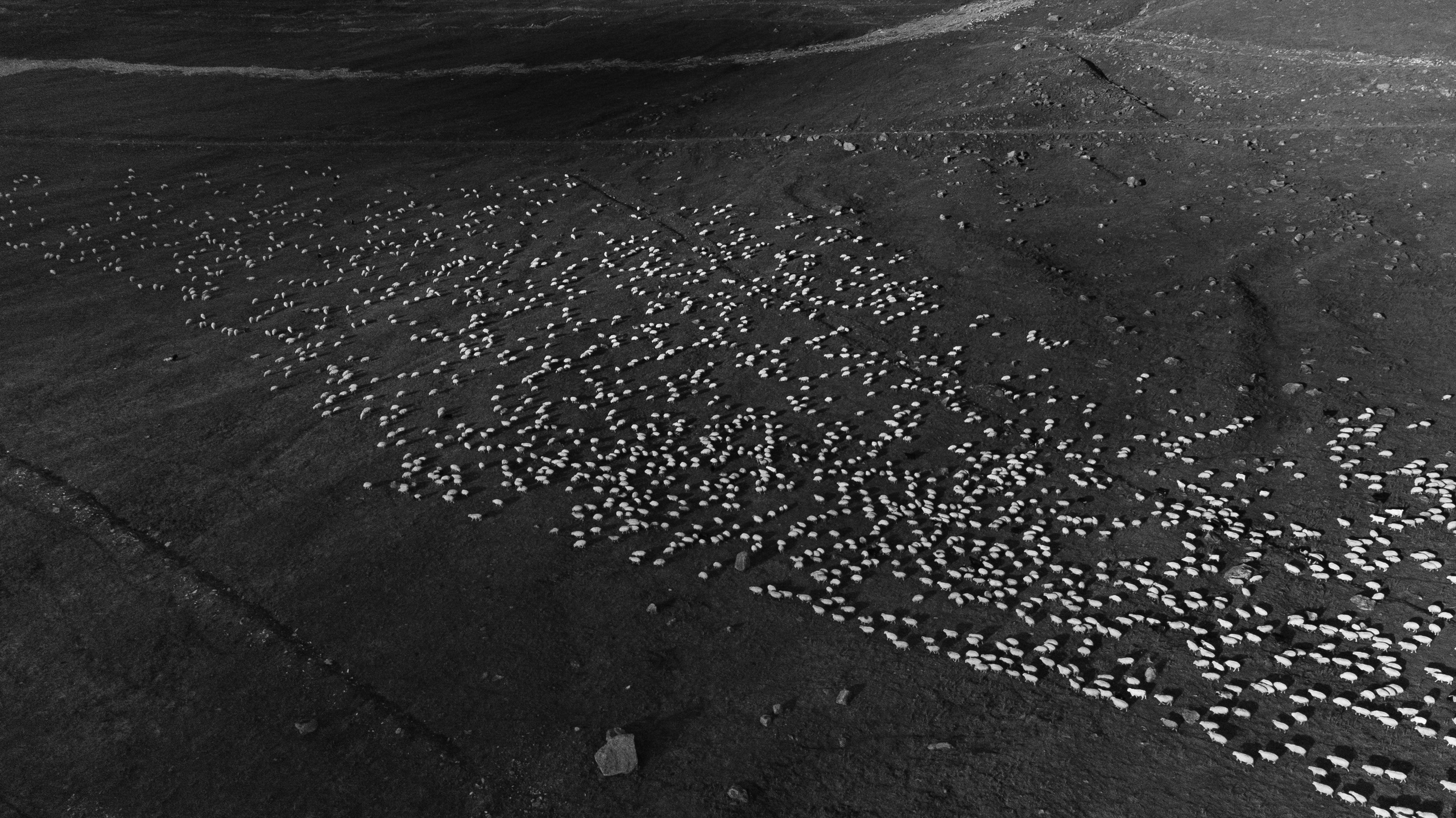 Выше гор. Фотограф Томск, Новосибирск Влад Свириденко