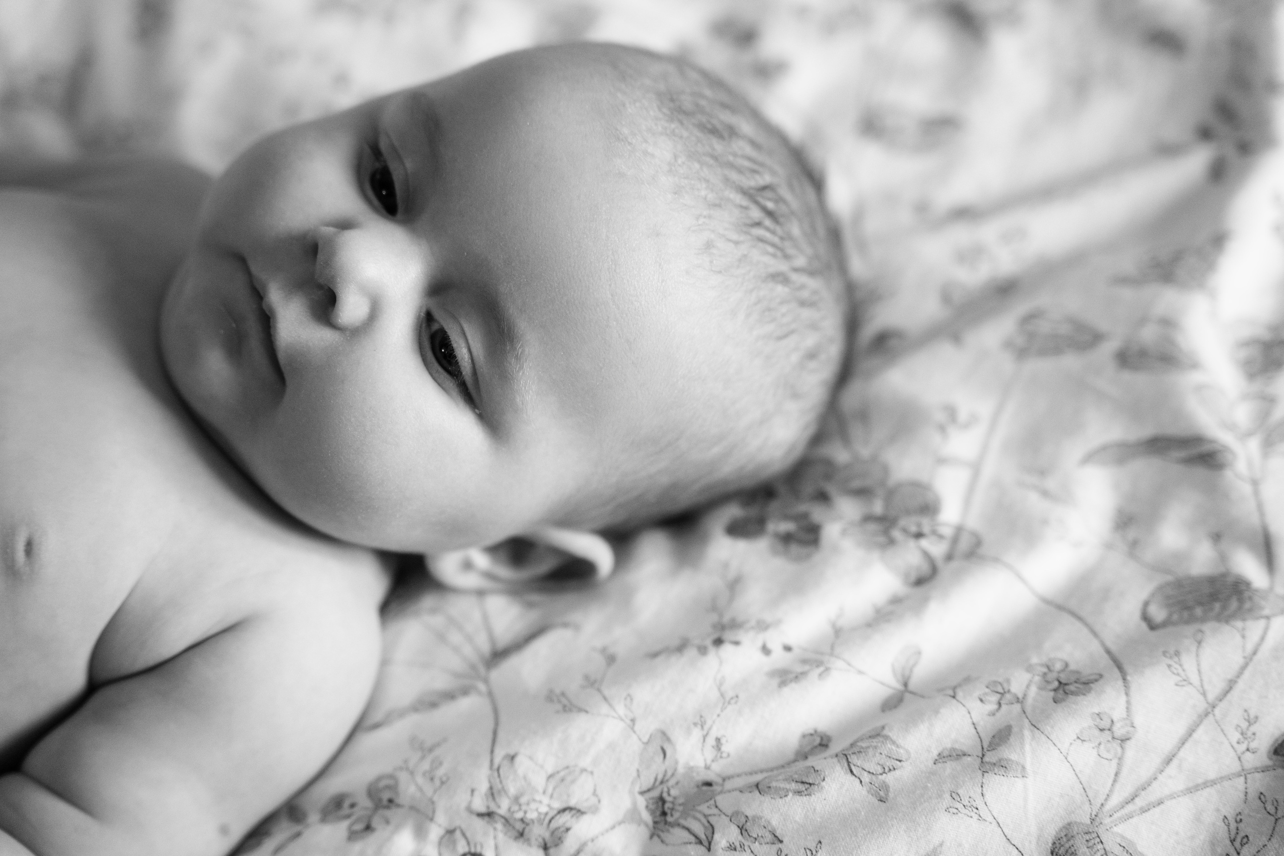 25.12.2021. Фотограф Томск, Новосибирск Влад Свириденко