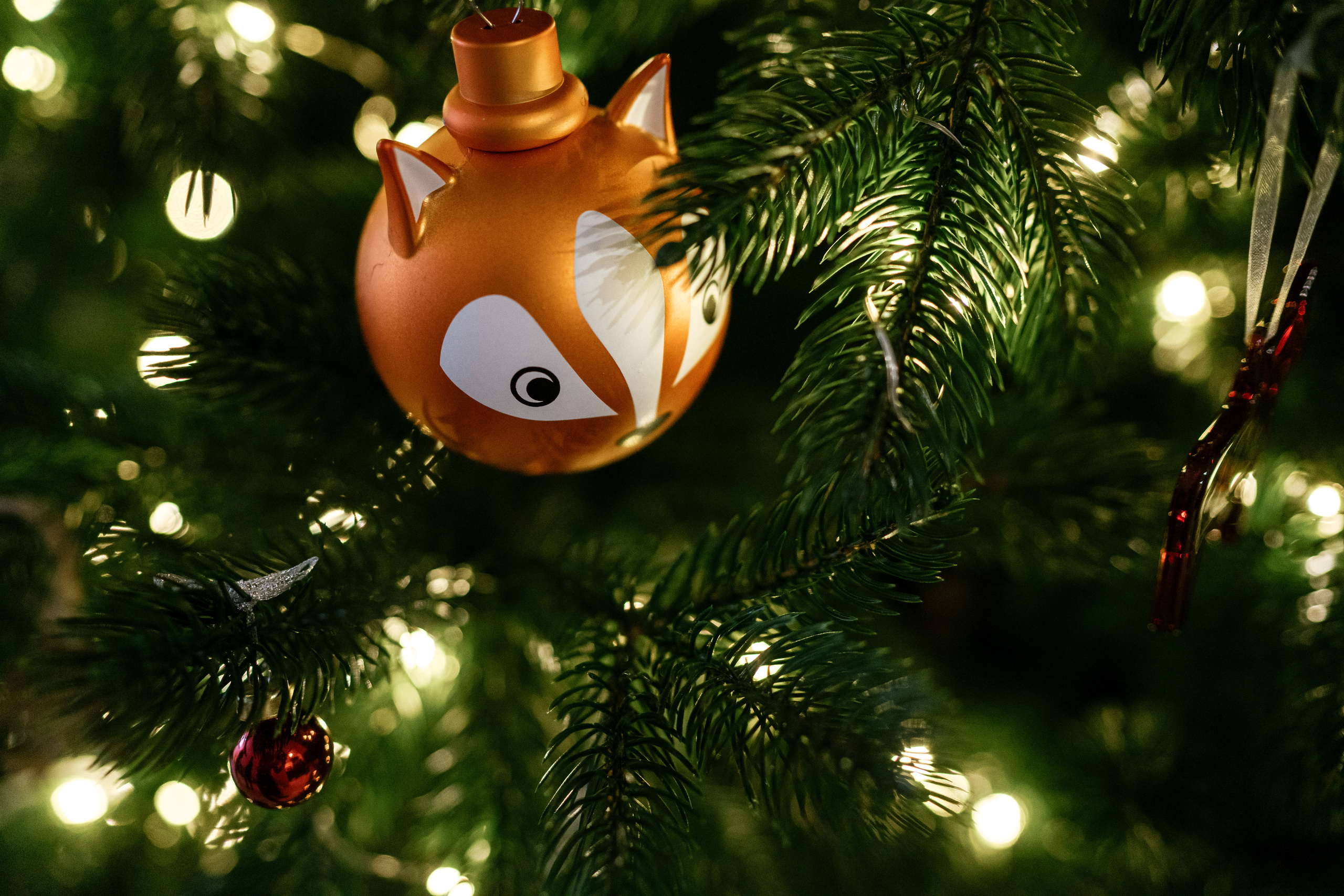 12.12.2021 Family. Фотограф Томск, Новосибирск Влад Свириденко