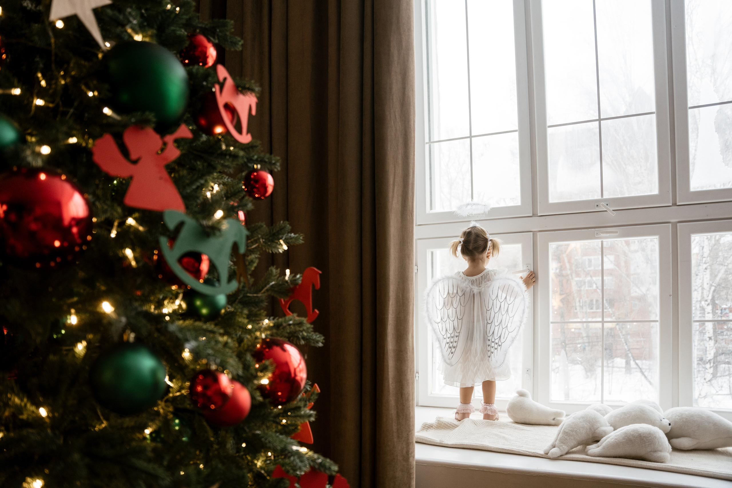 11.12.2021 Family. Фотограф Томск, Новосибирск Влад Свириденко