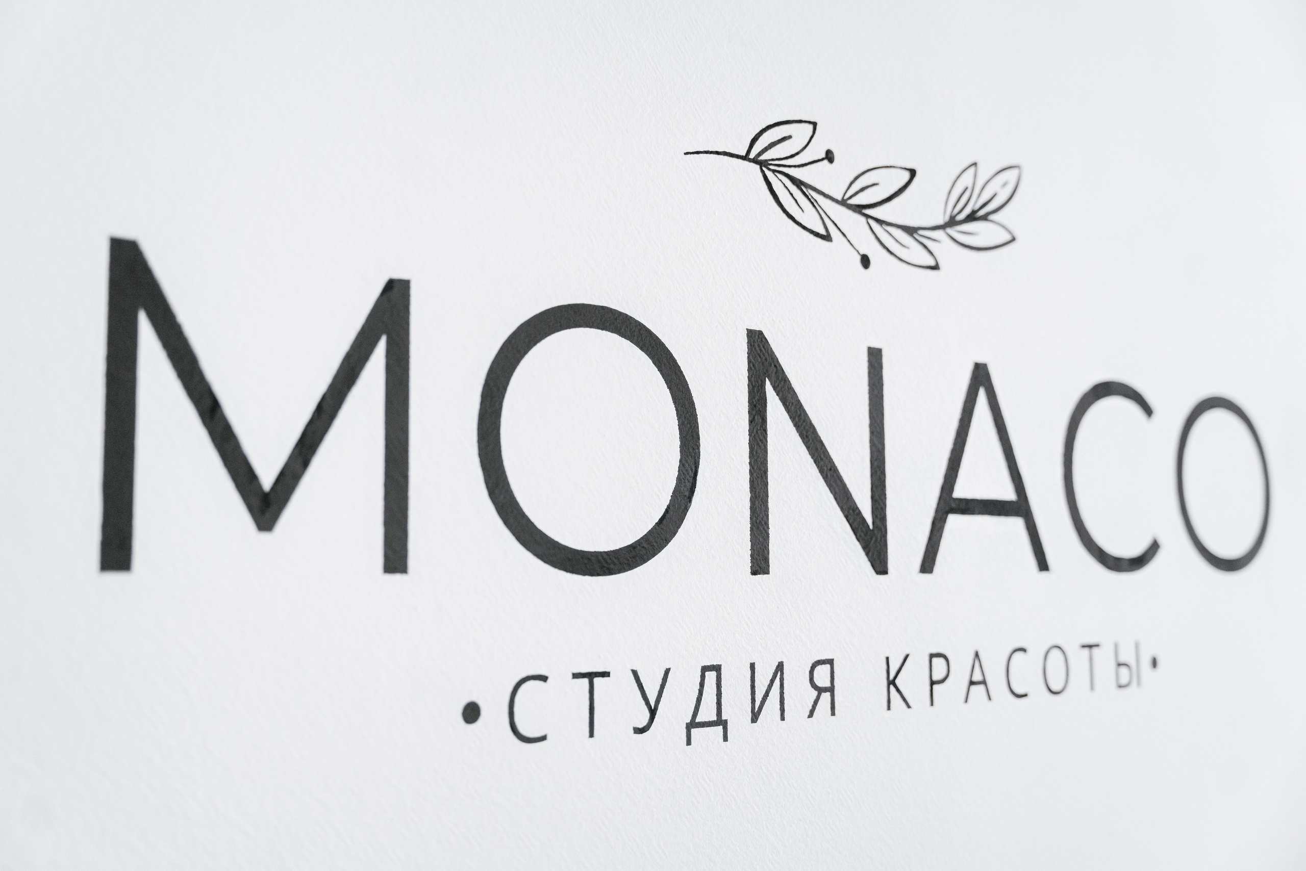 28.12.2021 Monaco. Фотограф Томск, Новосибирск Влад Свириденко