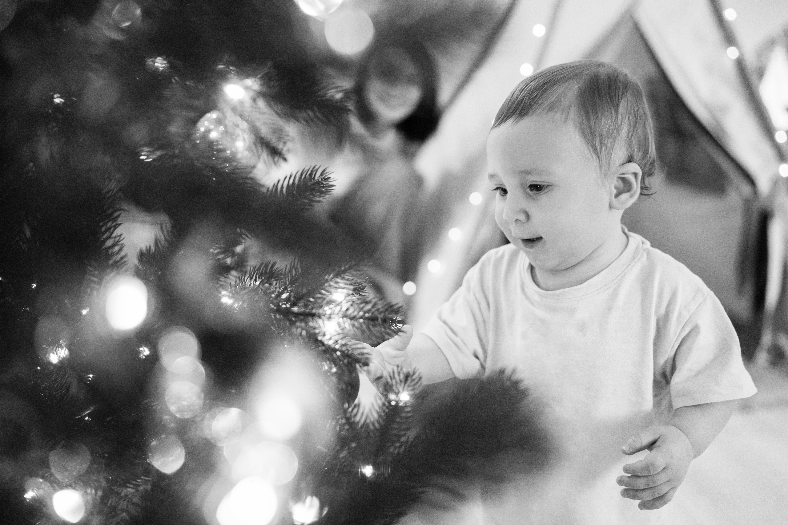 12.12.2021 Family. Фотограф Томск, Новосибирск Влад Свириденко